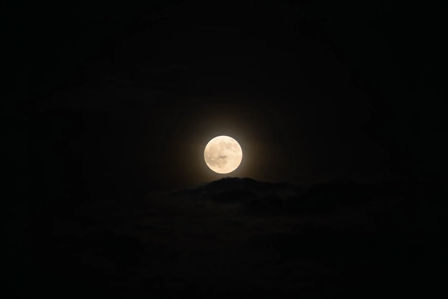 Harvest Super Moon + all of the mosquitoes. 

#supermoon #harvestsupermoon #ariesmoon #ariesfullmoon