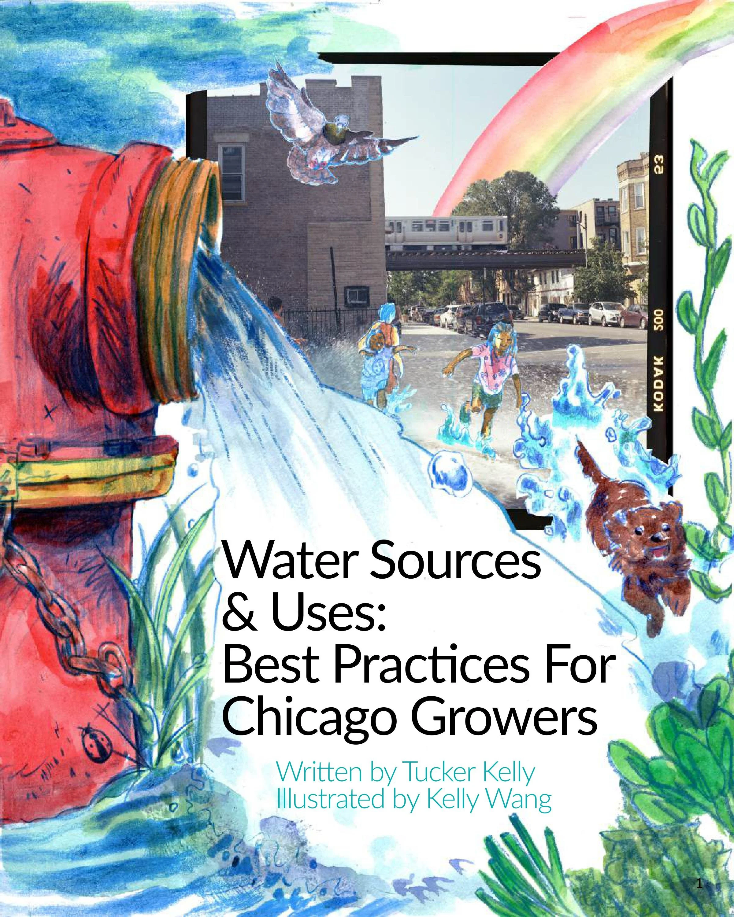 Water Access-compressed-images-0.jpg