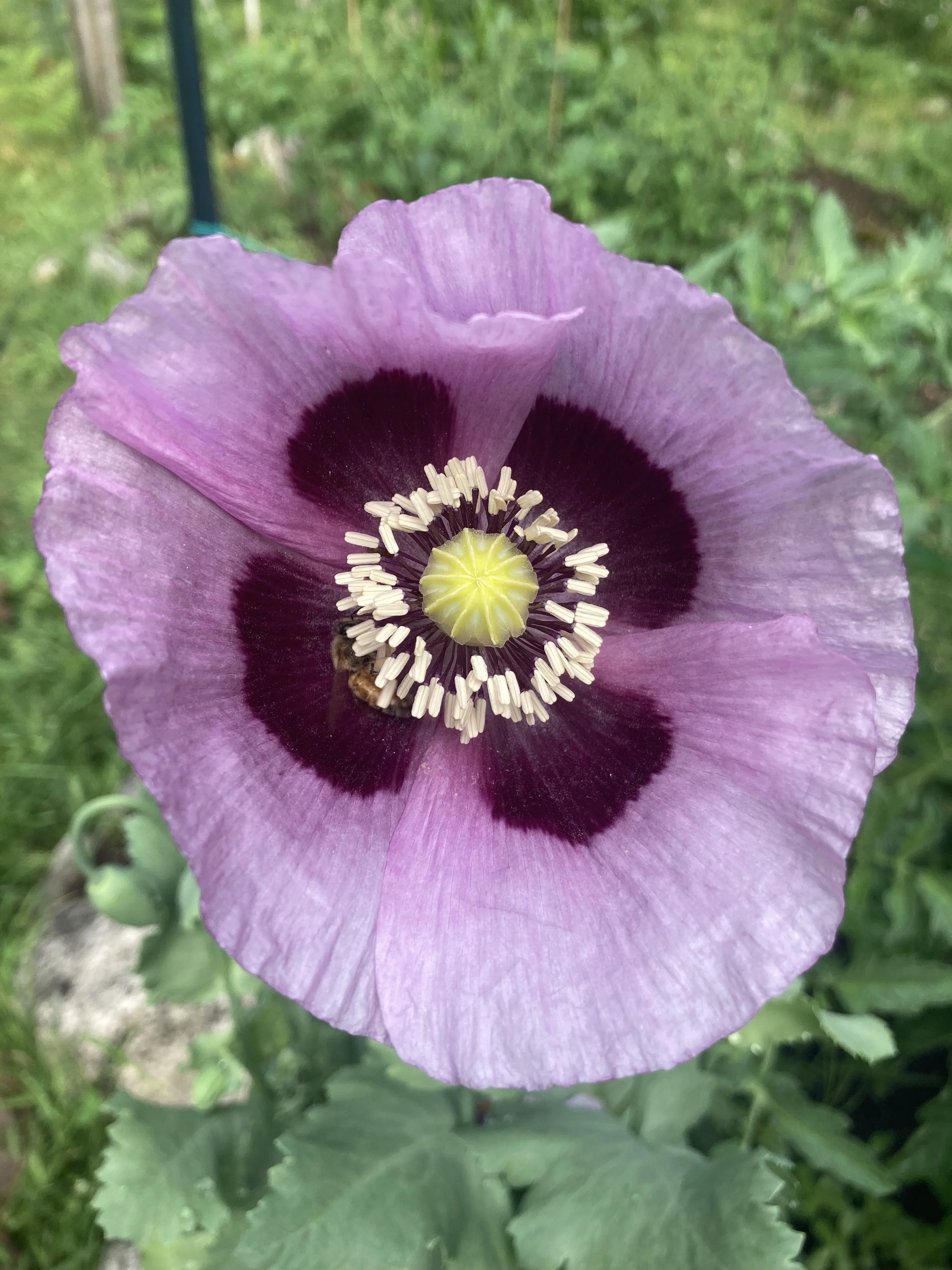 The Need to Reduce Waste