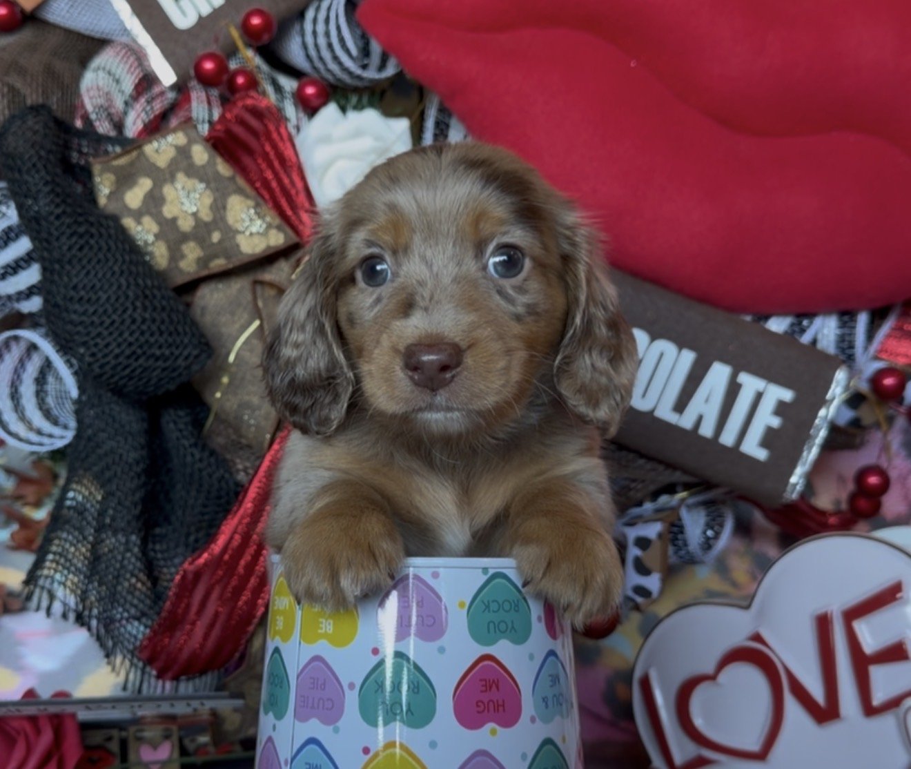 Ready Valentines Day ♥️💕❤️