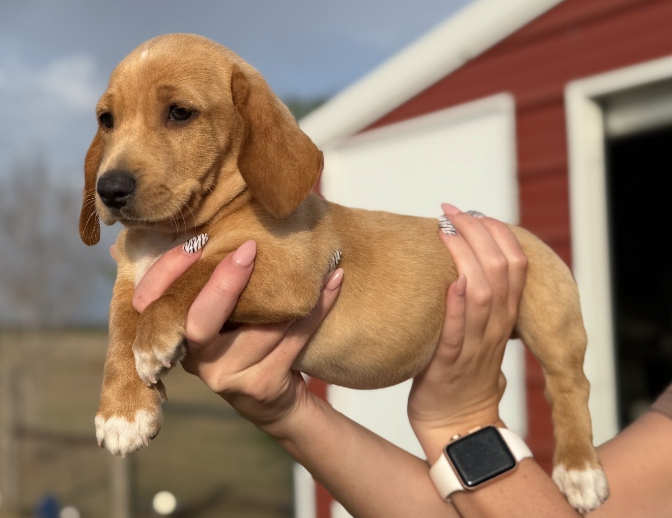 Mozart - Pick me up today!