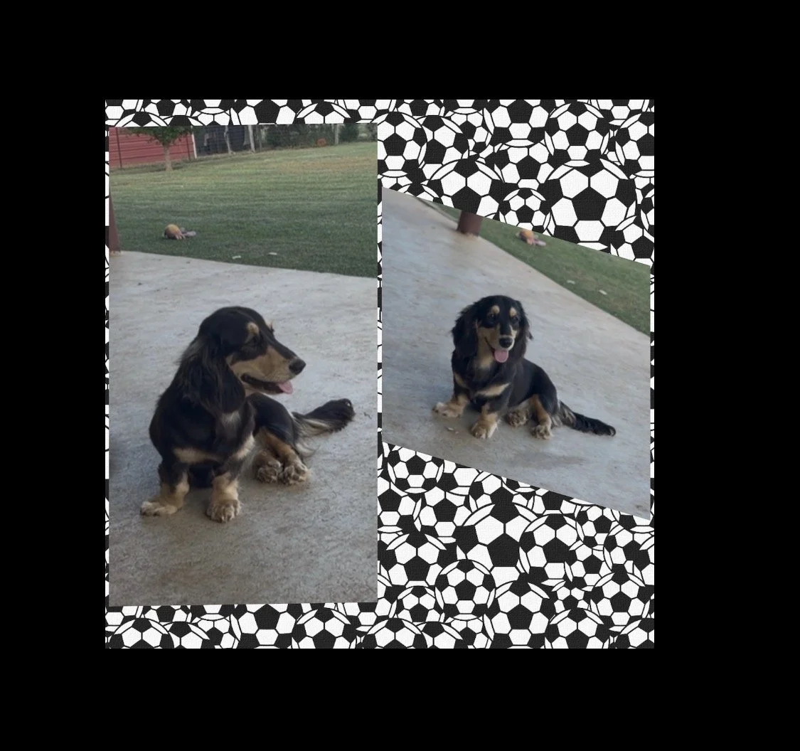 IMG_2504.jpeg