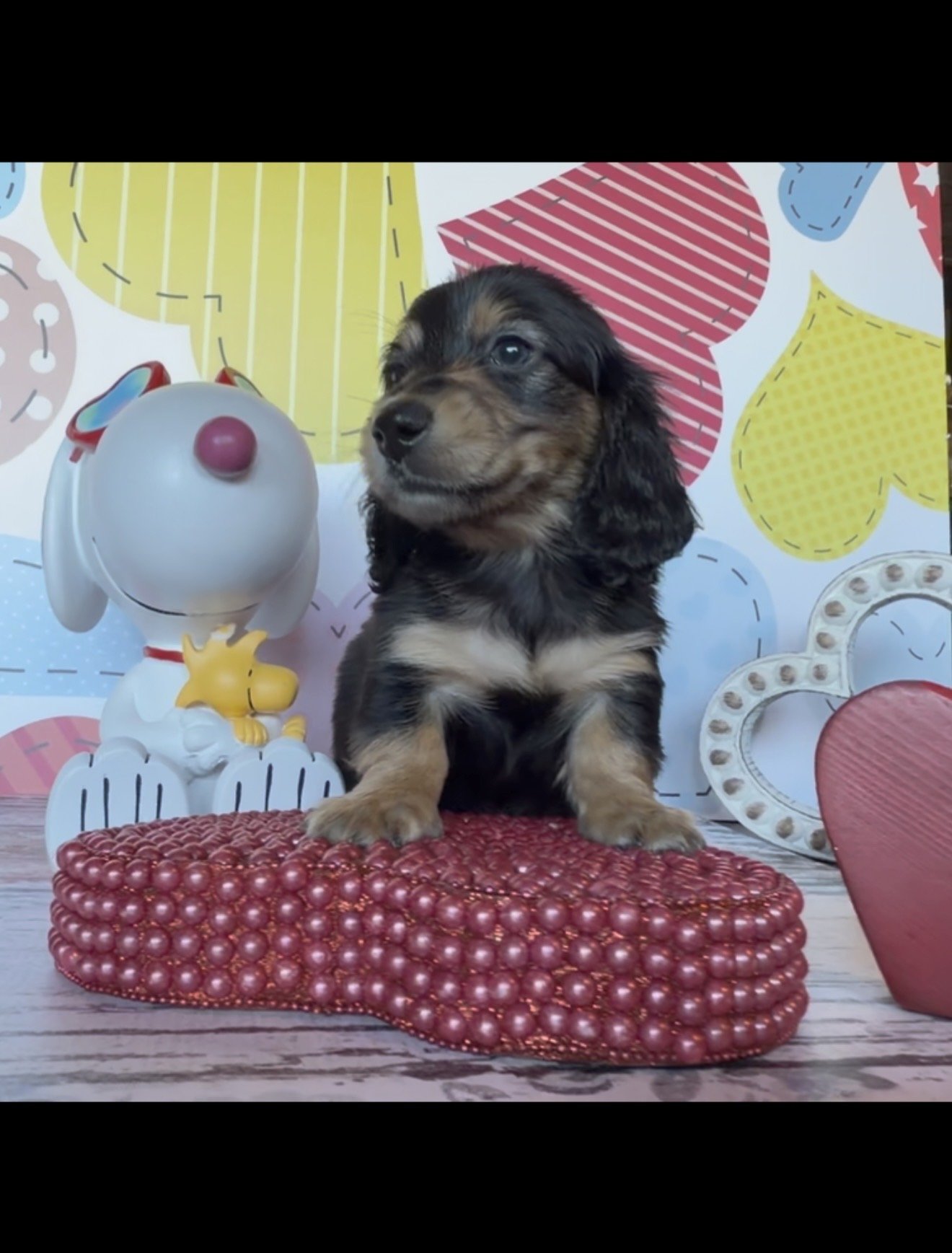 Olaf - PICK ME UP TODAY