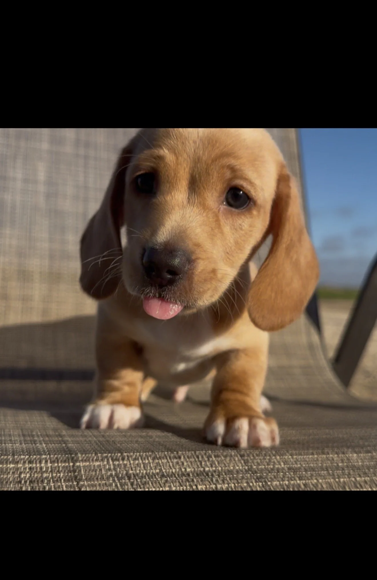 Mozart - Pick me up today!