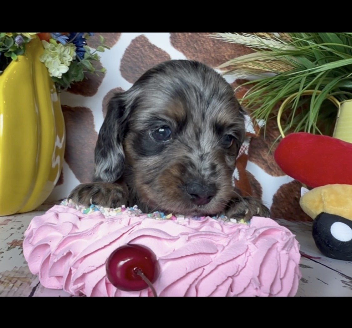 IMG_6854.jpeg