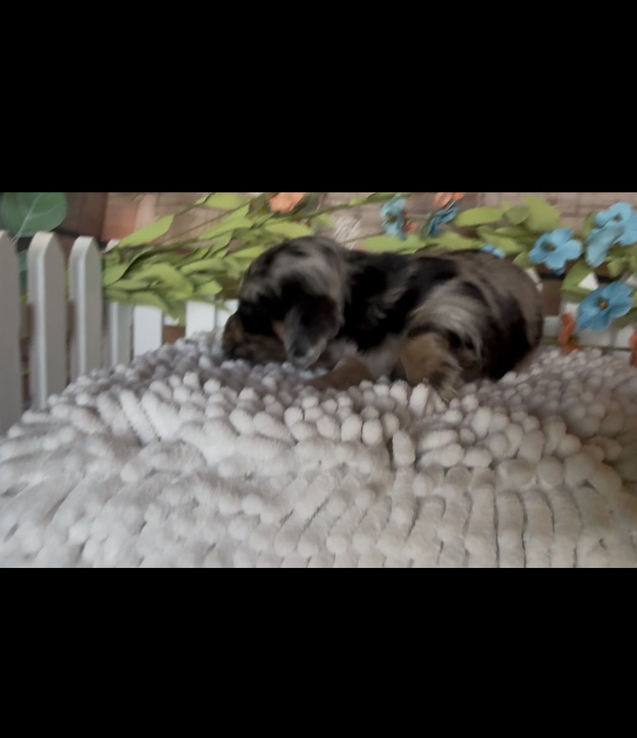 IMG_0219.jpeg