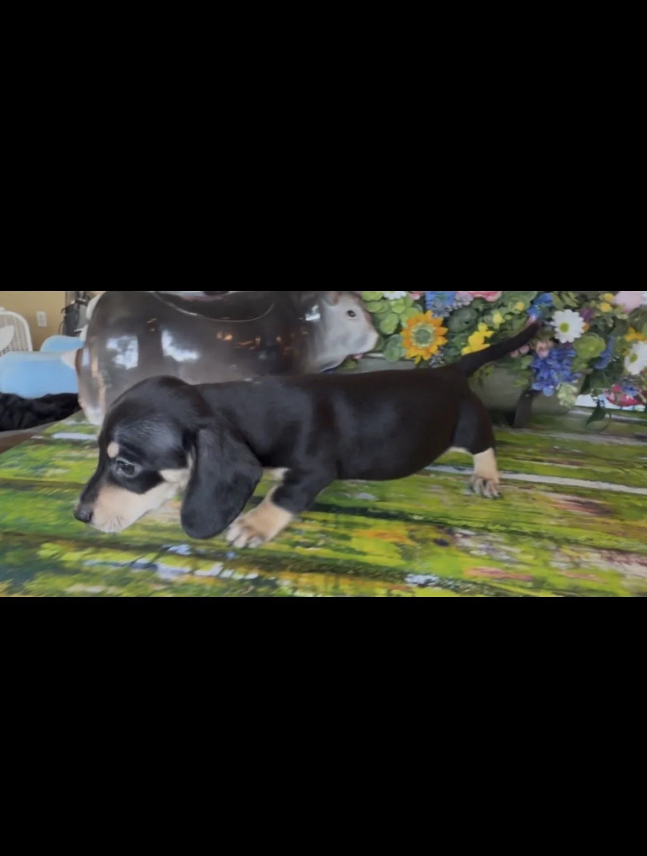 IMG_7722.jpeg