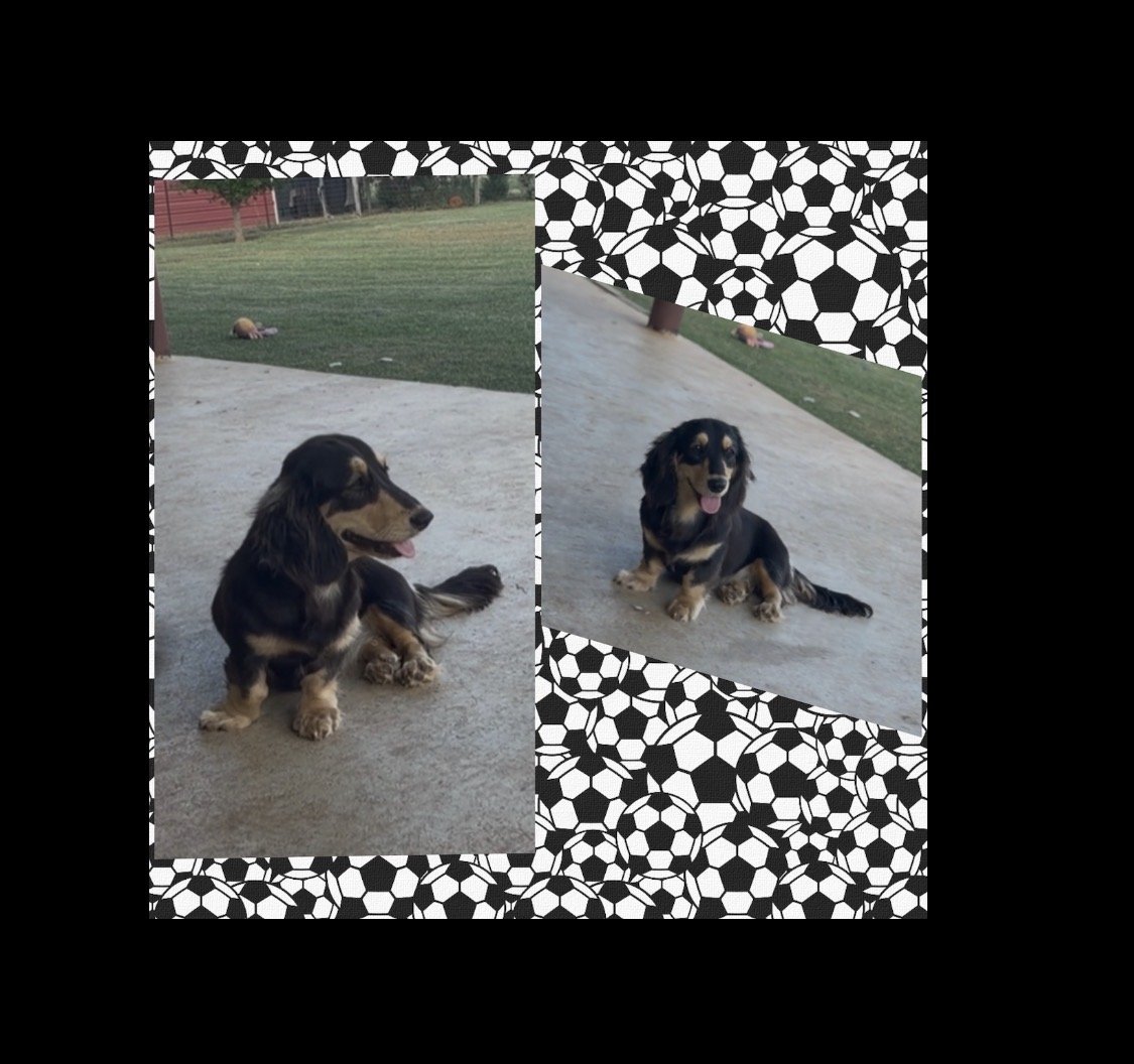 IMG_2504.jpeg
