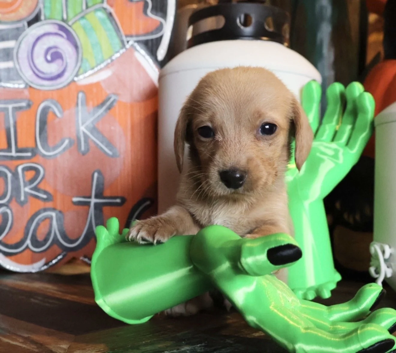 Milo