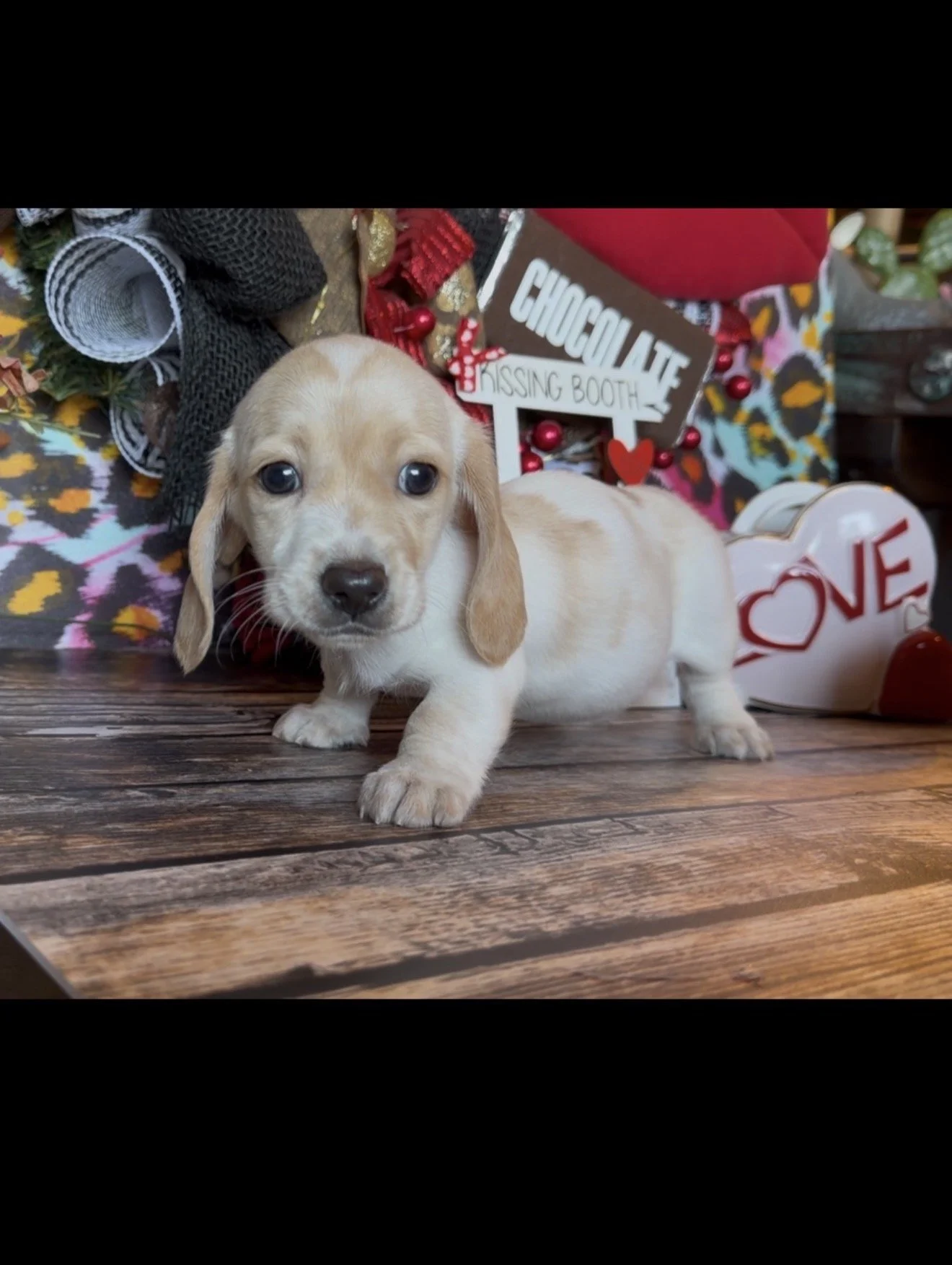 Ready Valentines Day! ❤️💕♥️