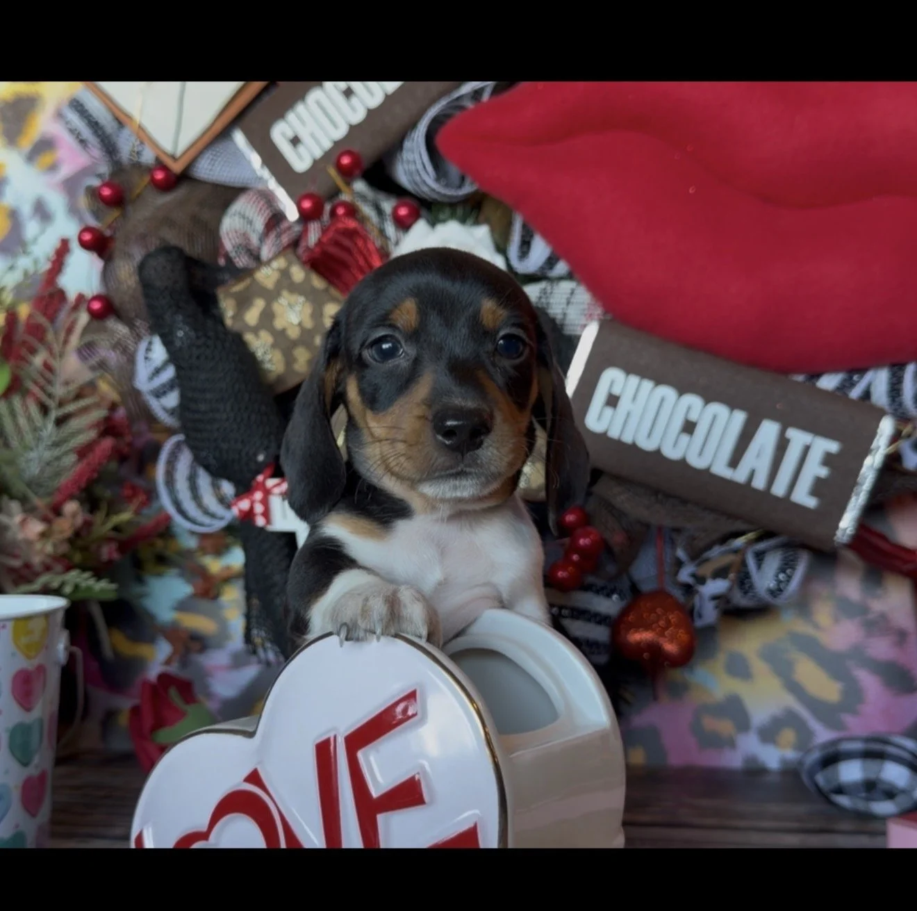 Ready Valentines Day! ♥️💕❤️