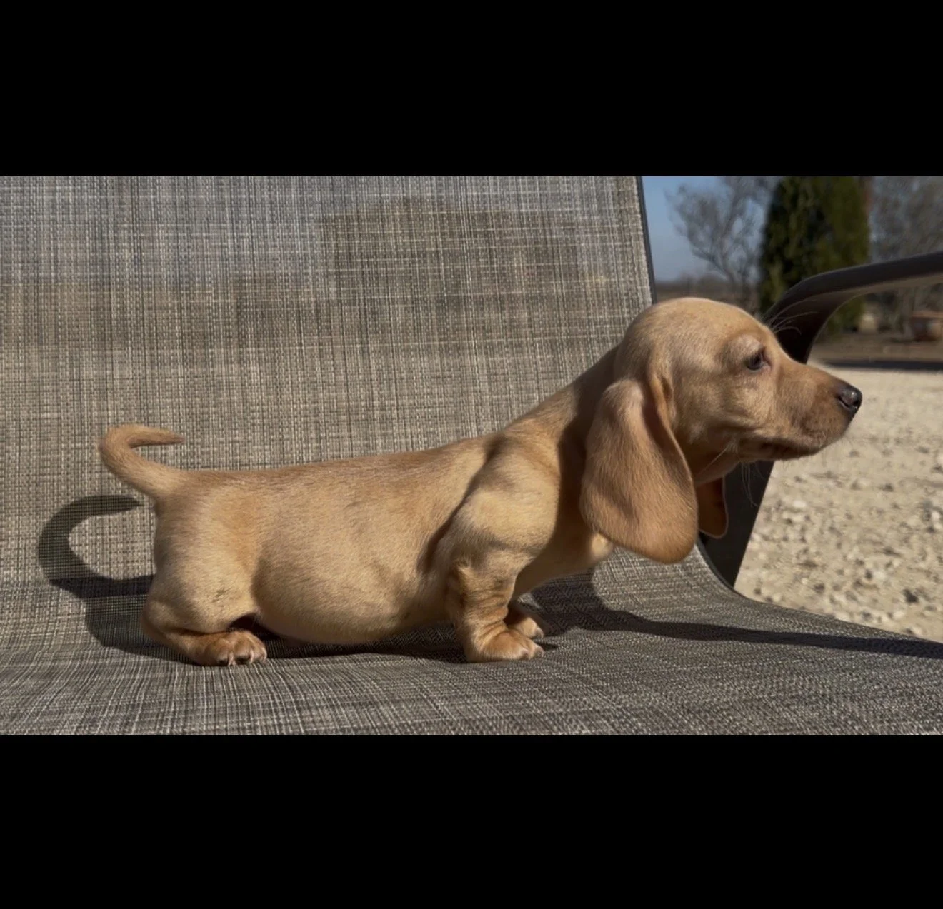 PICK ME UP TODAY! 😍