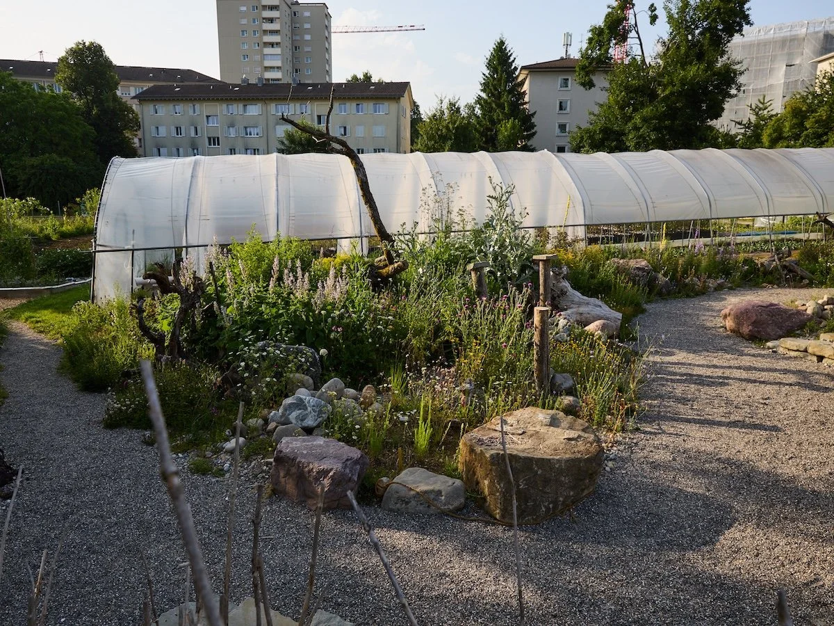 250614_KompassB_Stadtgärtnerei_ 293.jpg
