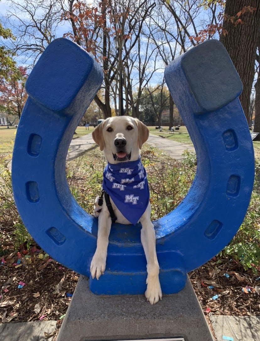unnamed (12).jpg