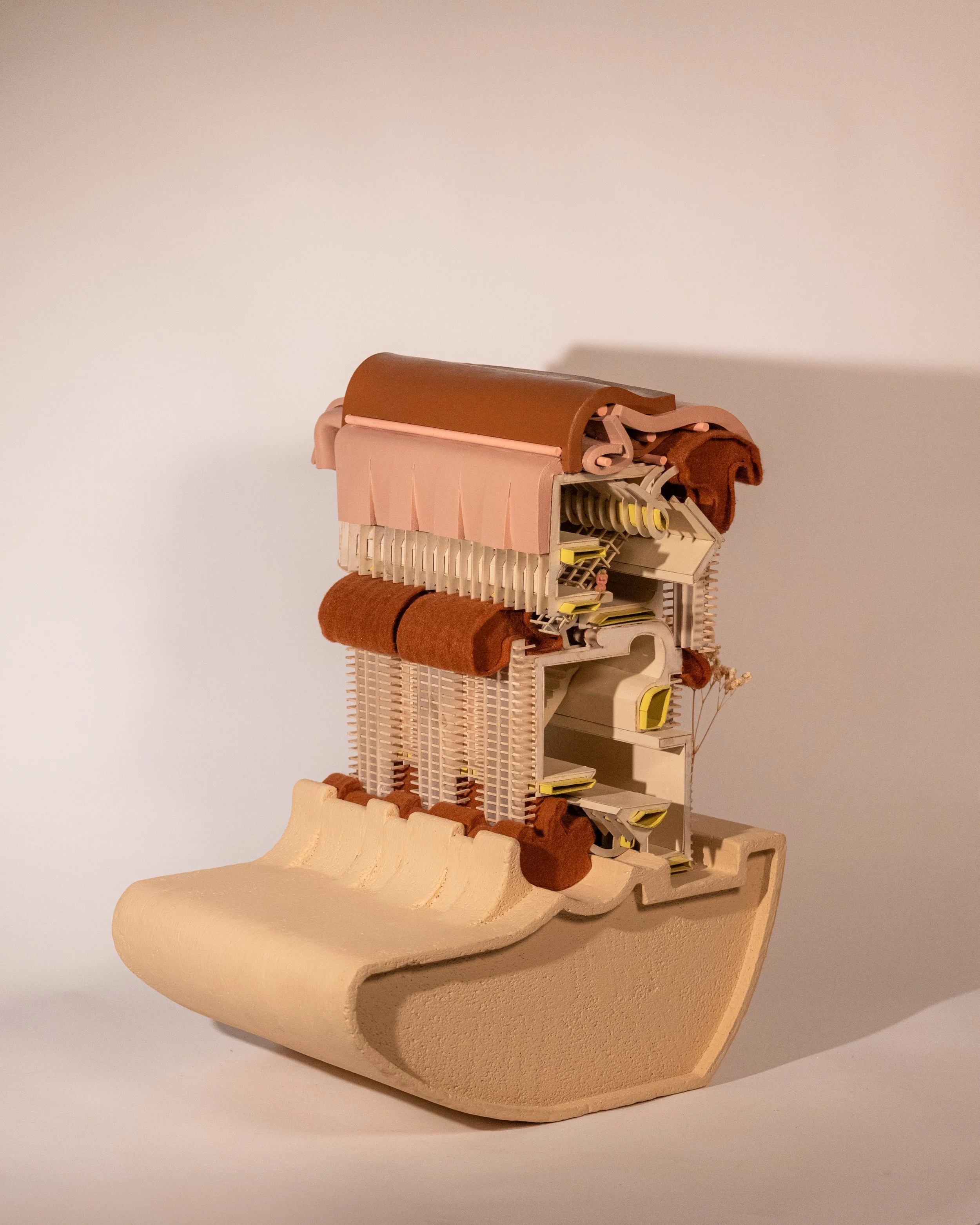 Model Photo - 1.jpg