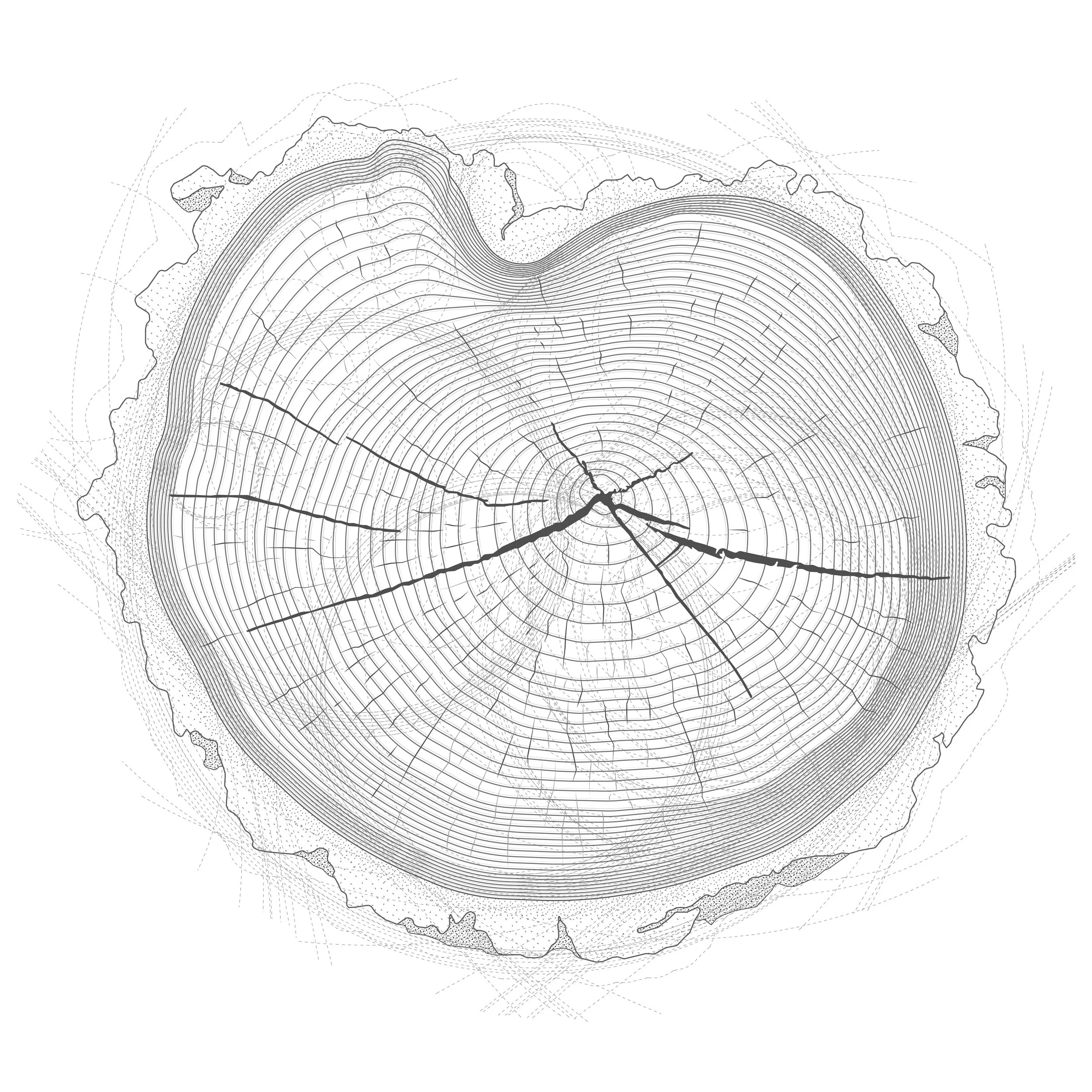 Tree Stump Drawing3-01.jpg