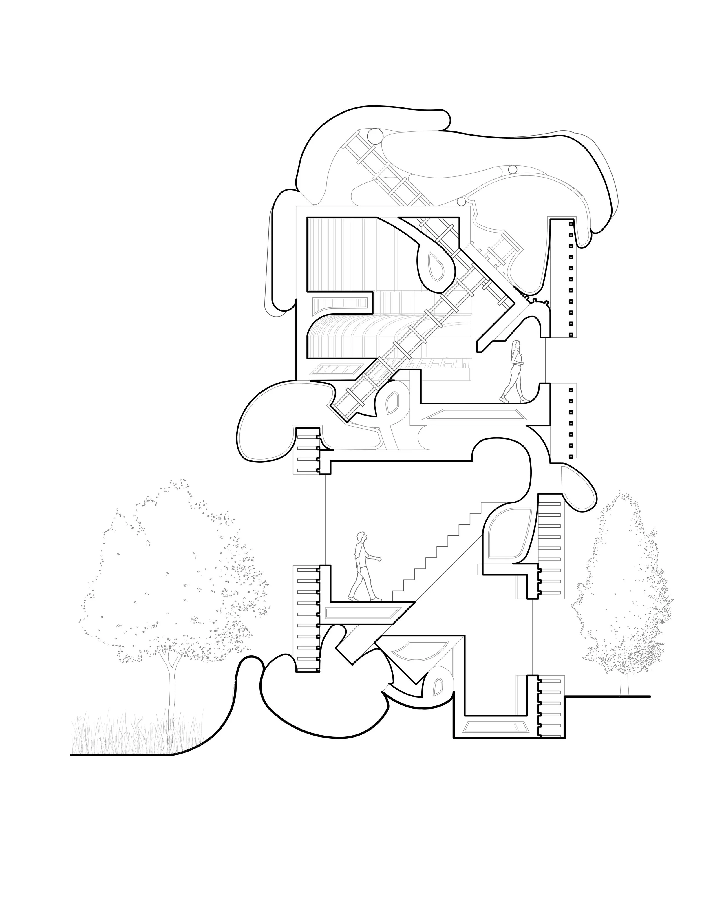 Section.jpg