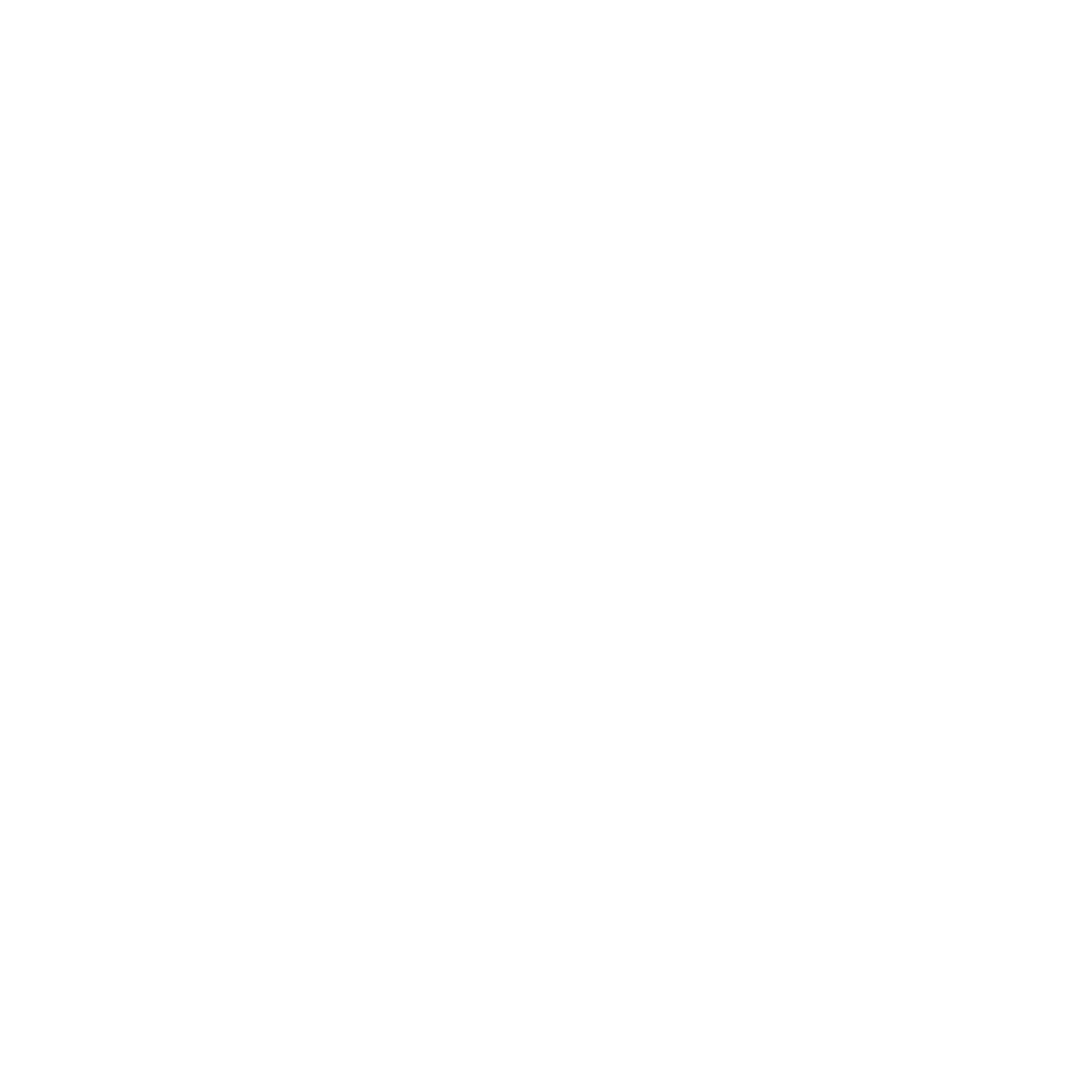 flagship logos_Flagship_Drumline_LogoText_White.png