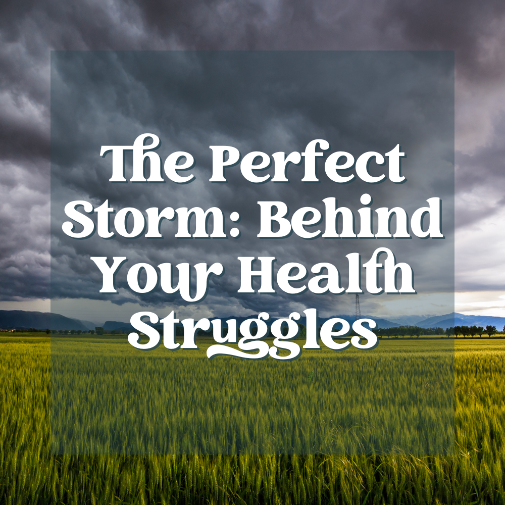 The Perfect Storm: Behind Your Health Struggles