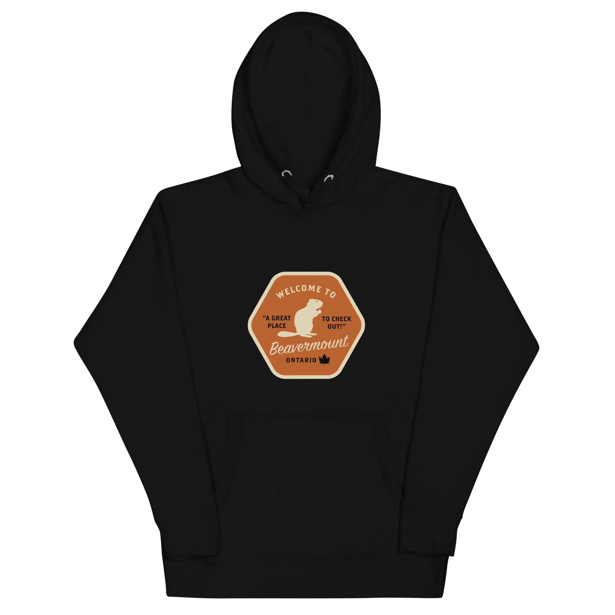 unisex-premium-hoodie-black-front-67310b1e97a36.jpg