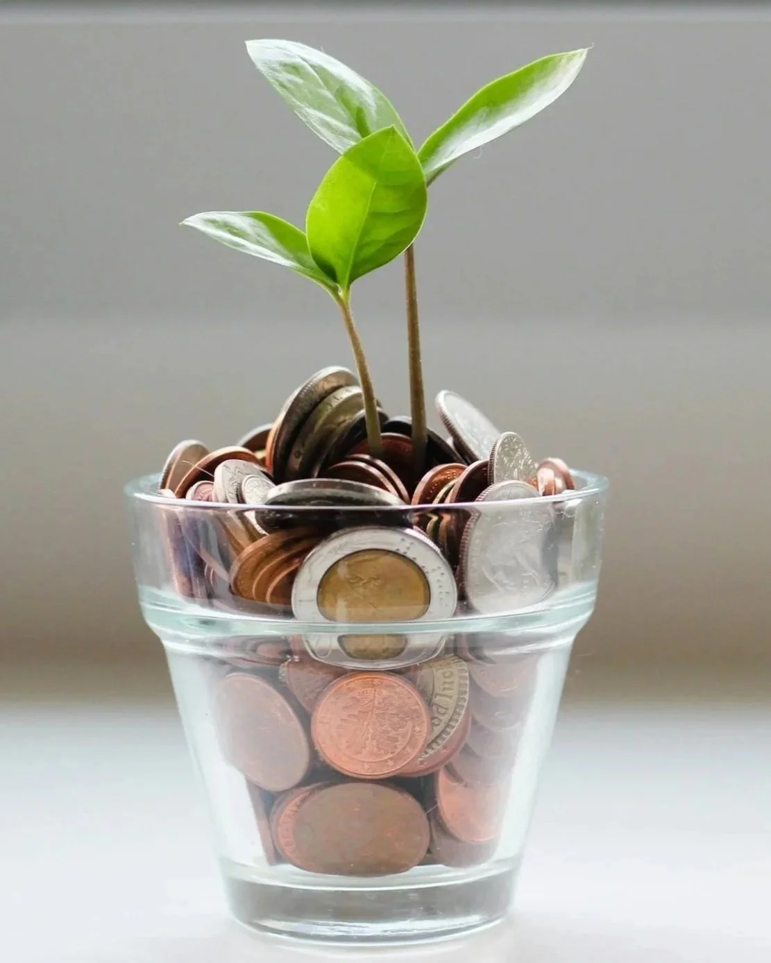 A glass of coins with a small green plant sprouting from the middle.