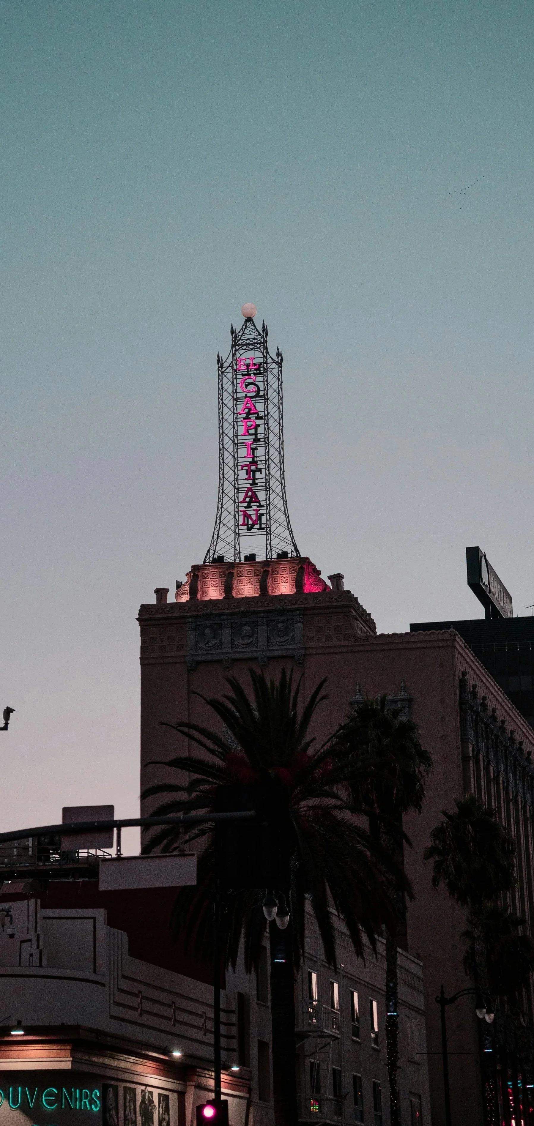 The El Capitan Theatre sign lit up at dusk in Hollywood, California, with palm trees in the foreground.