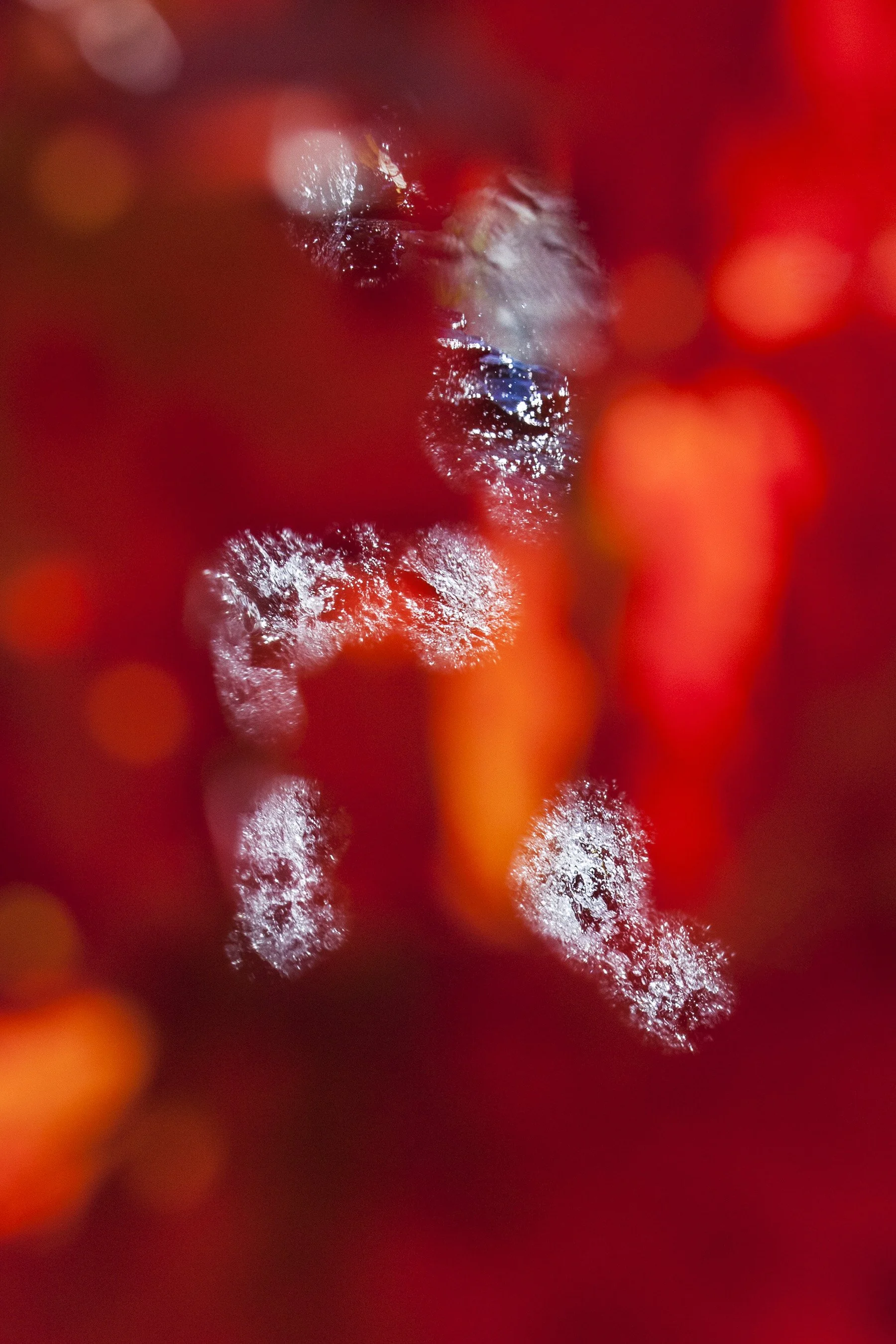 Susan Wides Voice of Silence [9268] 2020, 36x24 in.jpg