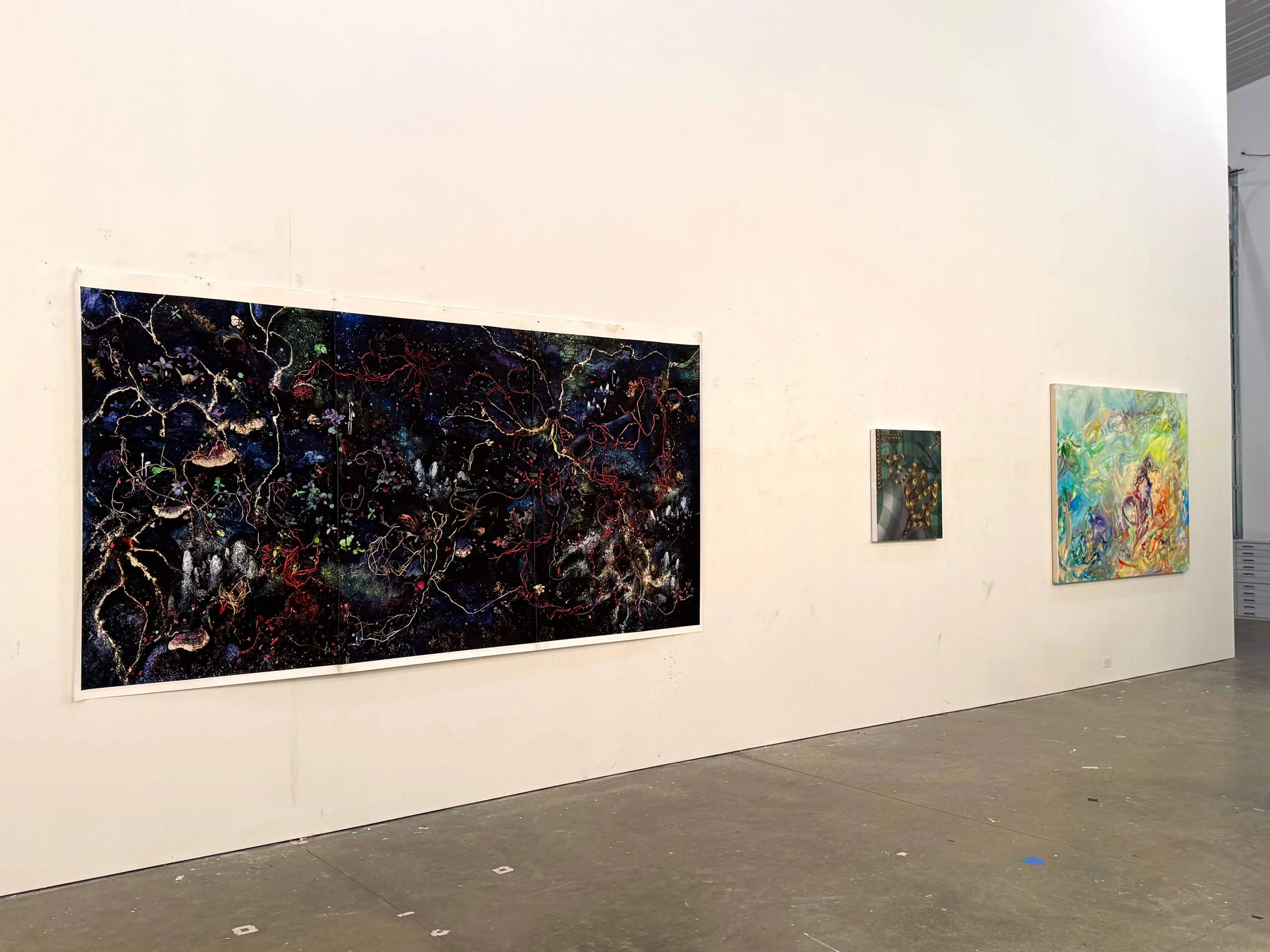 Gnarly-2026-install-03.jpg