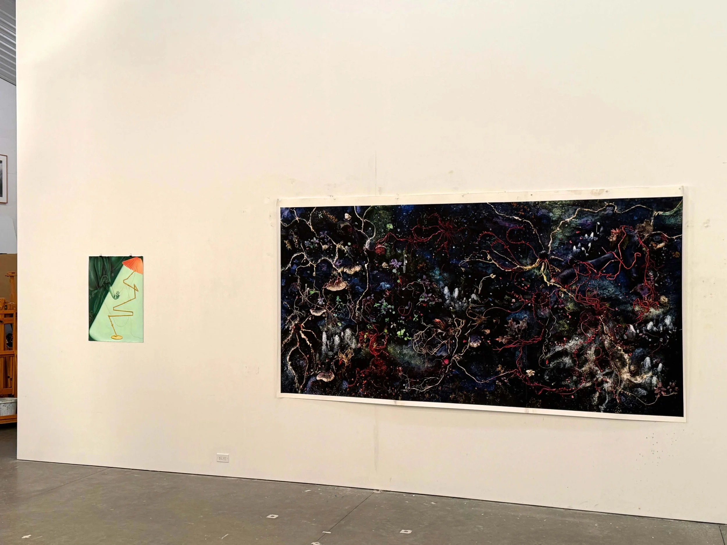 Gnarly-2026-install-04.jpg