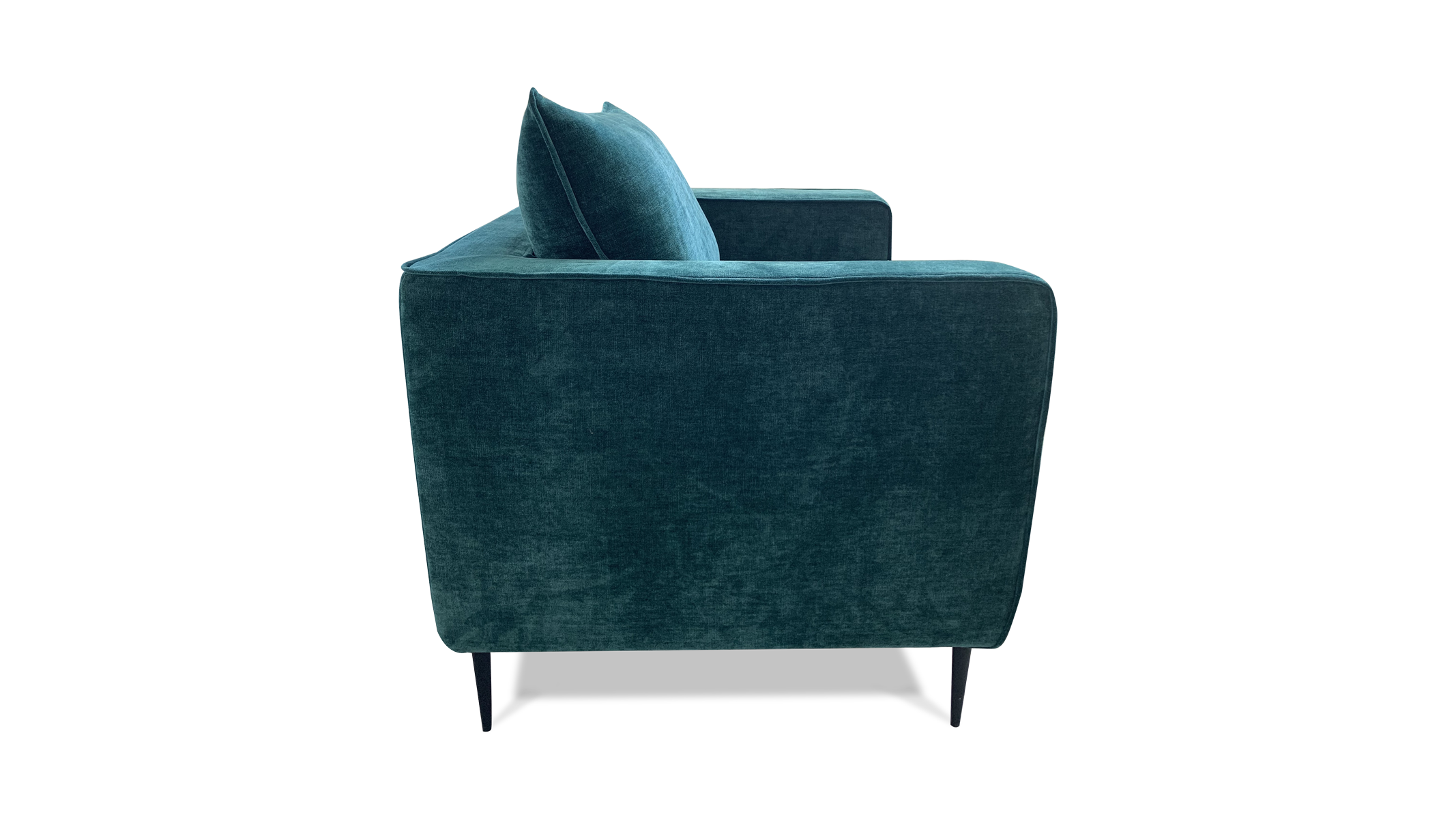 CAYLA-2-1_1-Small.png
