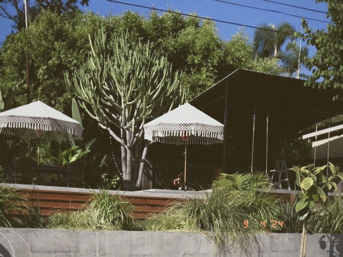 dexp 2024-09-04 230649.032.JPG