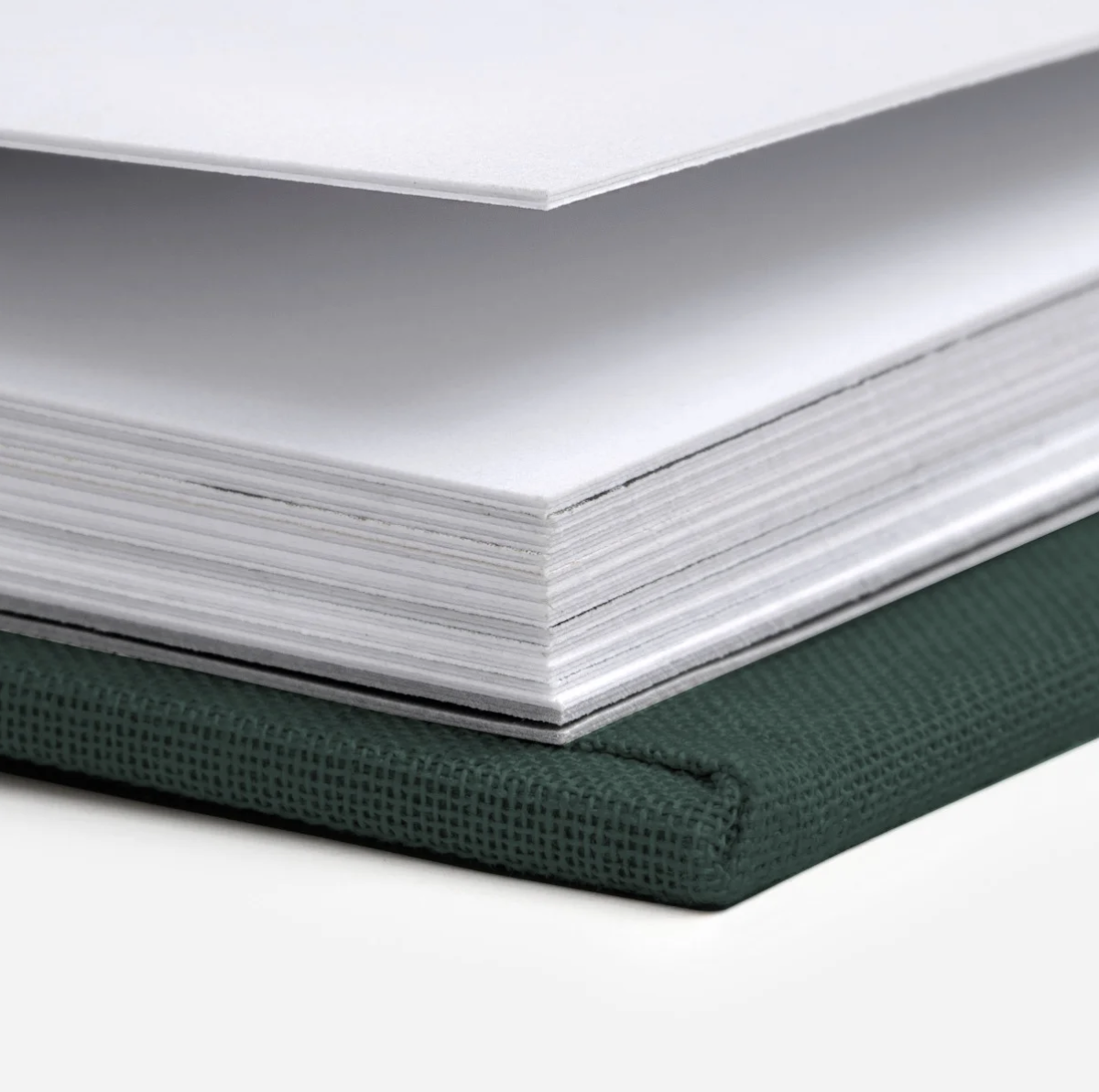 Screenshot 2026-01-26 at 12.56.39 PM.png