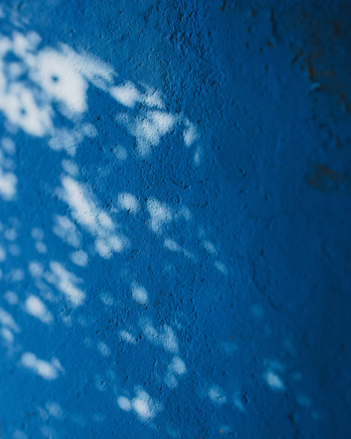 JB-MX-Color-Shadow-3.jpg