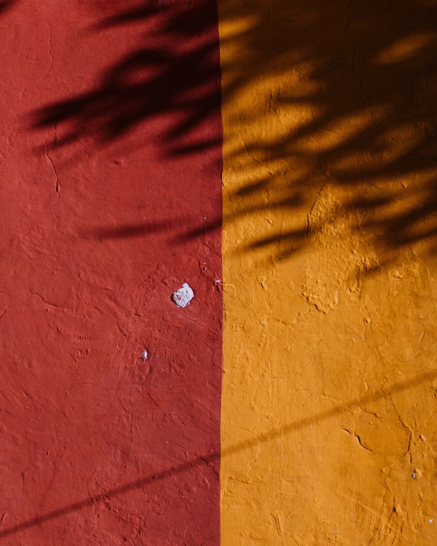 JB-MX-Color-Shadow-6.jpg
