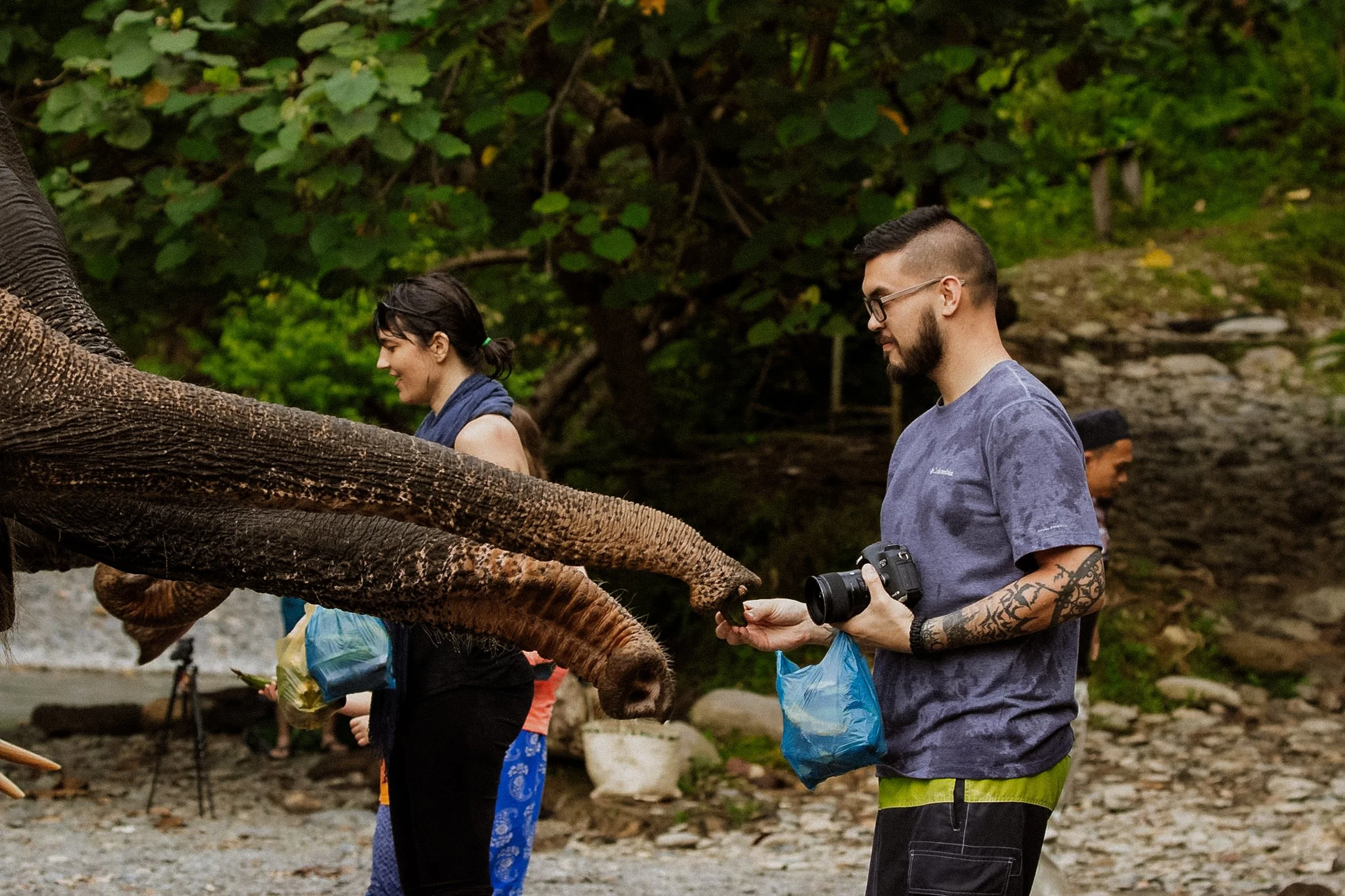 Mike-Jungle-Branch-2.jpg