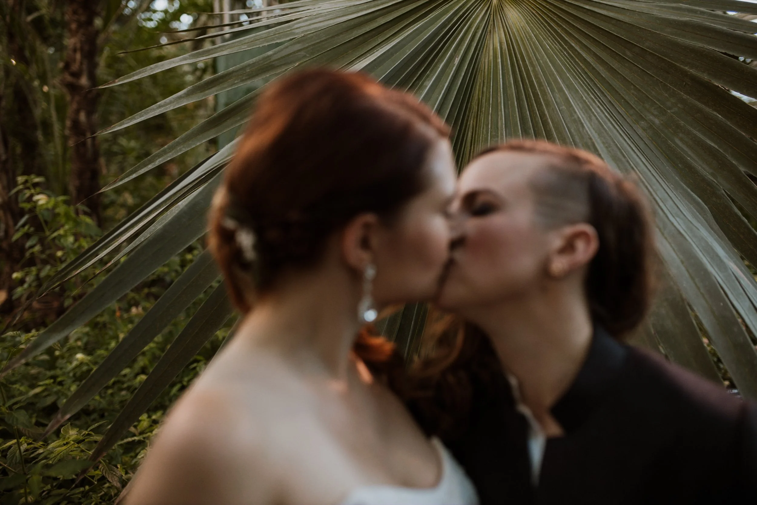 Wedding-Jungle-Branch-Wedding-Asheville-Chicago-Elopement-Family-Wedding-Engagement-Dog-Pet-Photographer-97.jpg