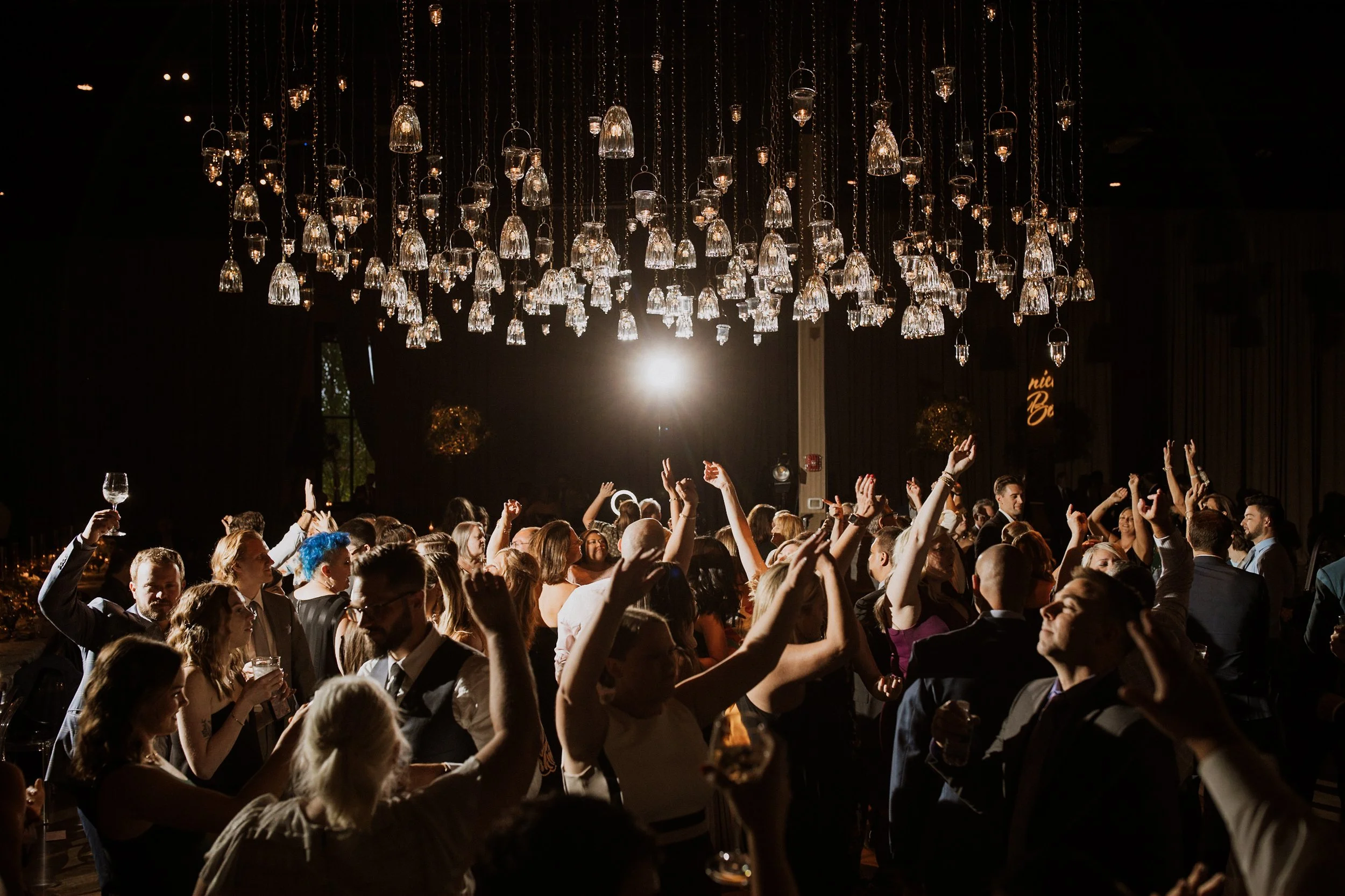 Weddings-Jungle-Branch-Wedding-Asheville-Chicago-Elopement-Family-Wedding-Engagement-Dog-Pet-Photographer-Gay-Queer-Love-Is-Love-Elope-Dance-Party-1.jpg