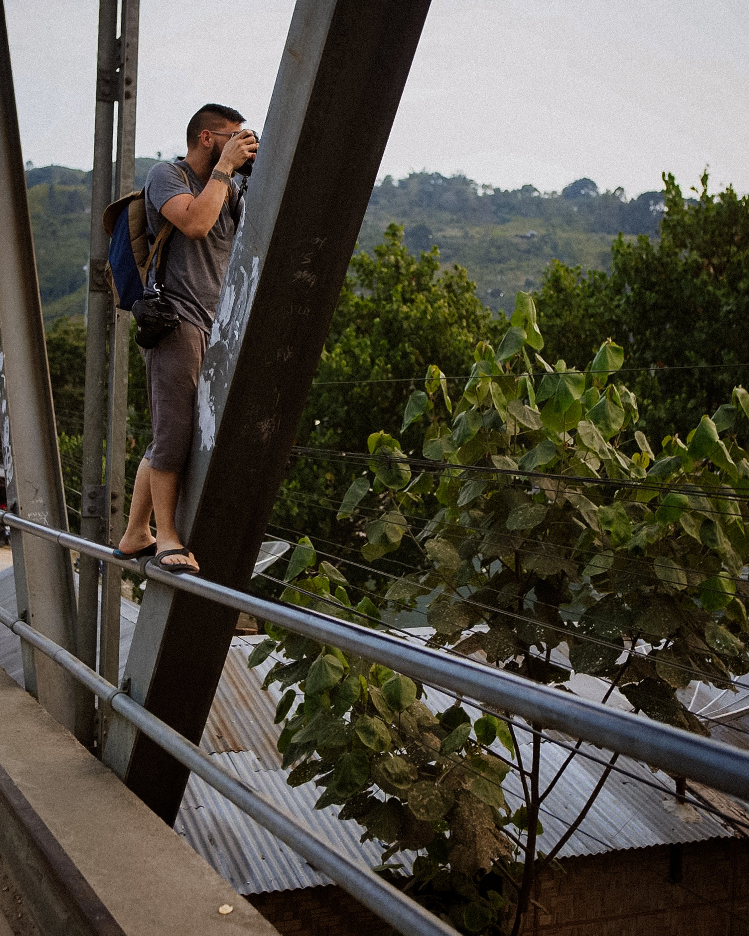 Mike-Jungle-Branch-3.jpg