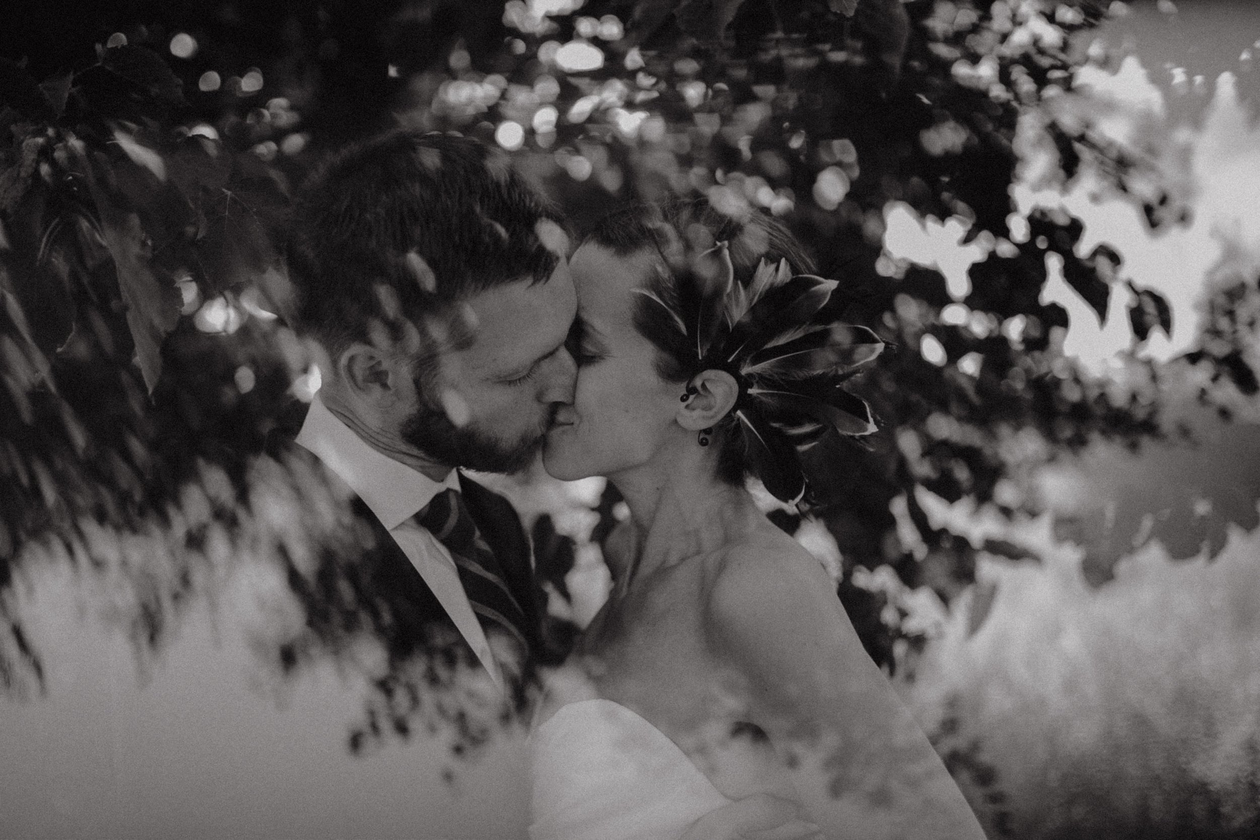 Wedding-Jungle-Branch-Wedding-Asheville-Chicago-Elopement-Family-Wedding-Engagement-Dog-Pet-Photographer-81.jpg