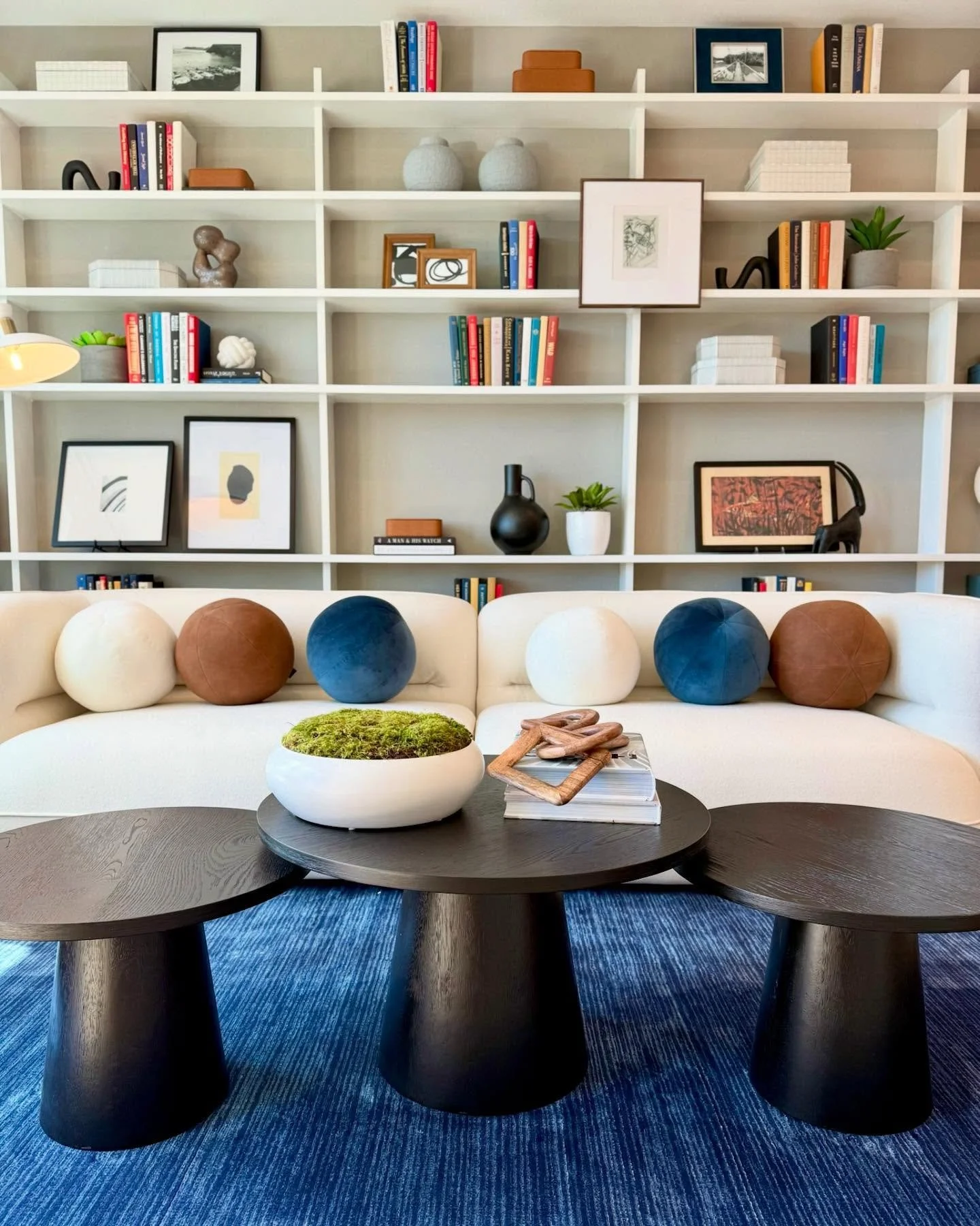📸 from our install in Claremont. We love a good bookcase 📚!!!