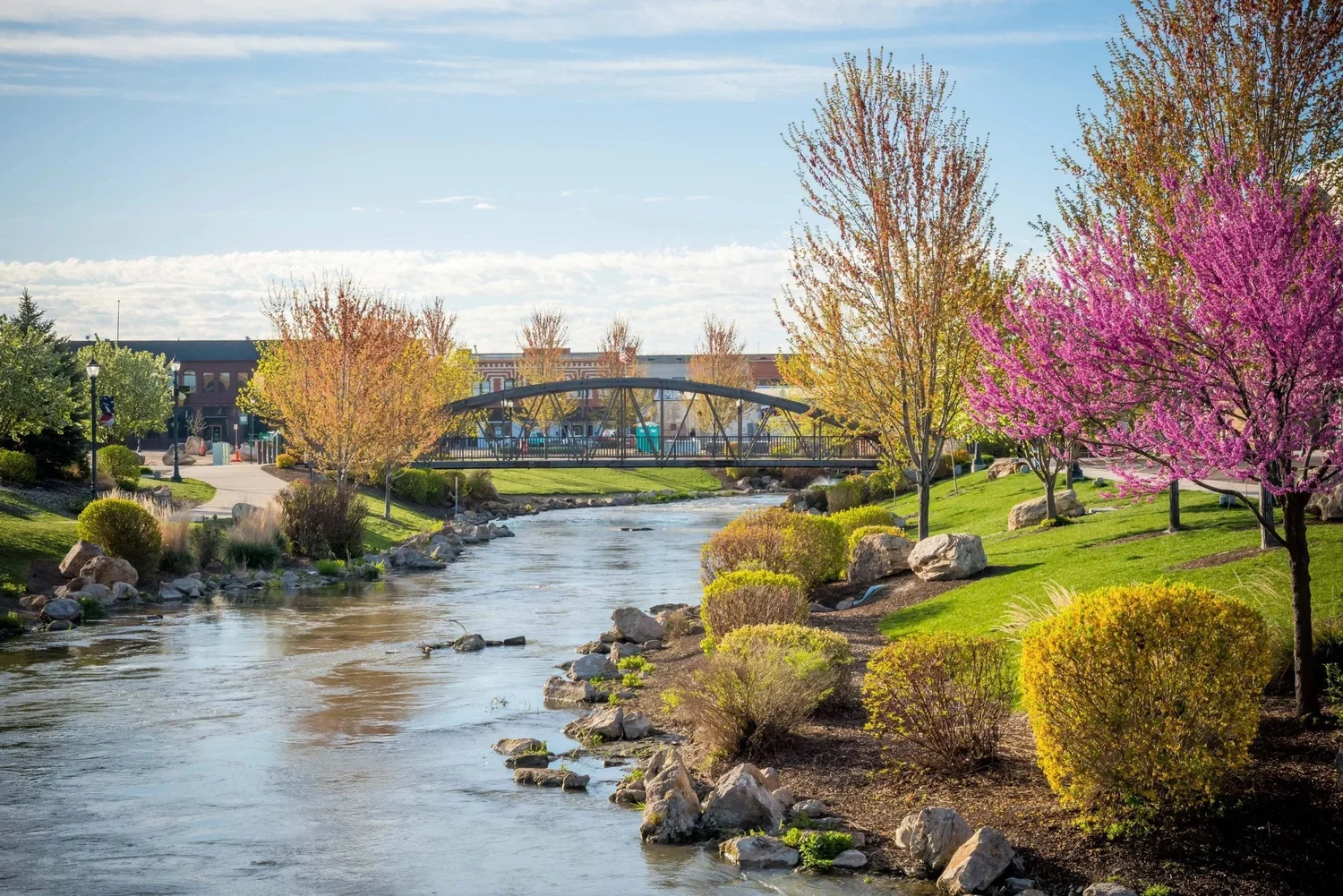 Indian Creek winds through downtown Caldwell under spring trees