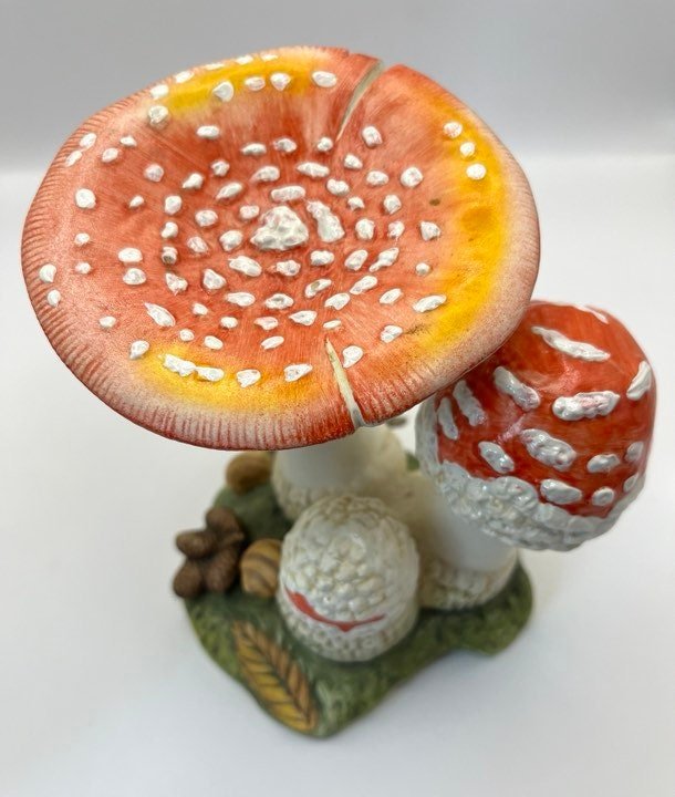 https://i.etsystatic.com/53094134/r/il/c8d2eb/6068618892/il_fullxfull.6068618892_ib4q.jpg