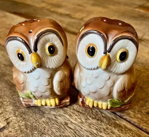 Brown Owls.jpg