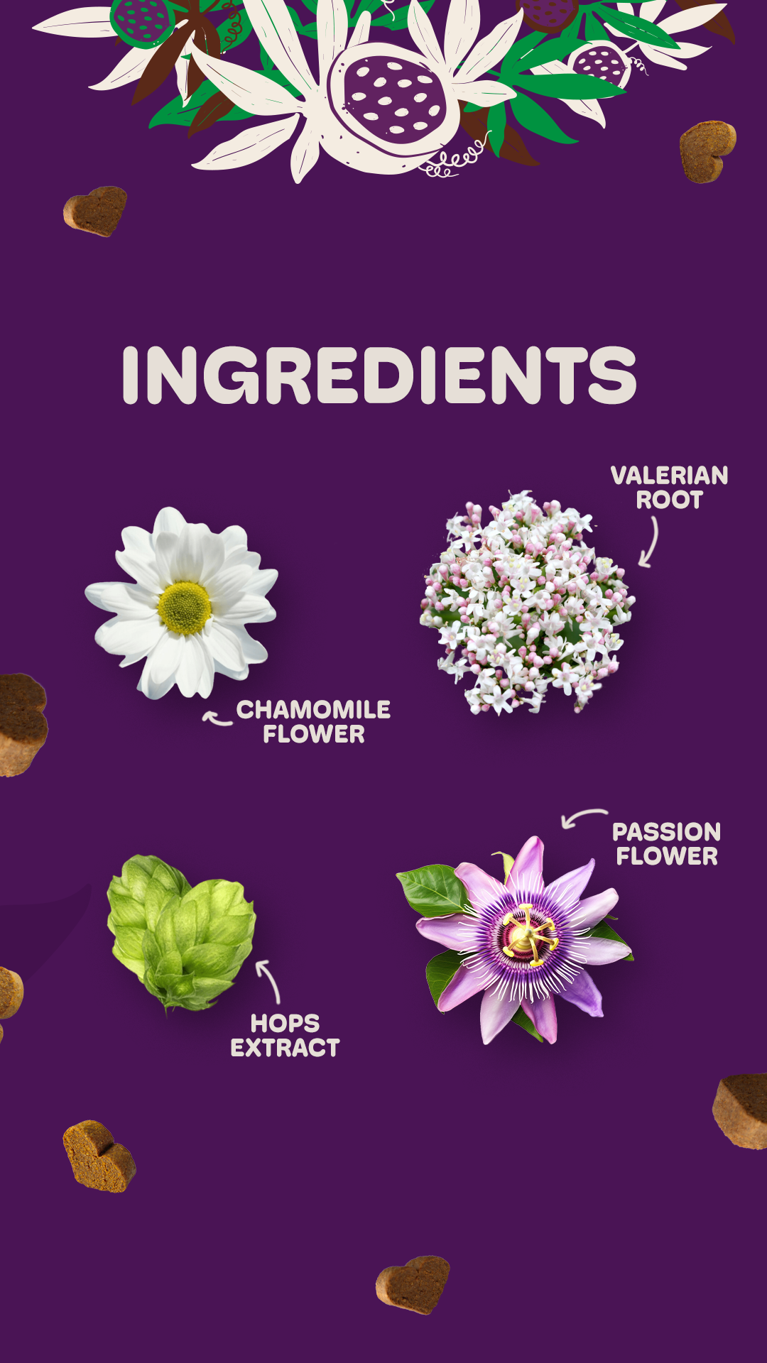 calmingzen-ingredients-en2.png