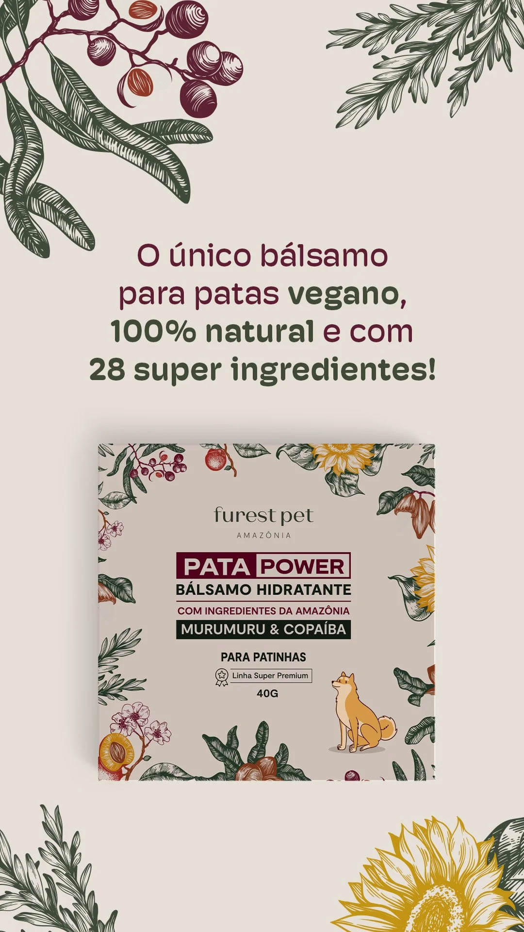 resumo-ingredientes-patapower1.jpg