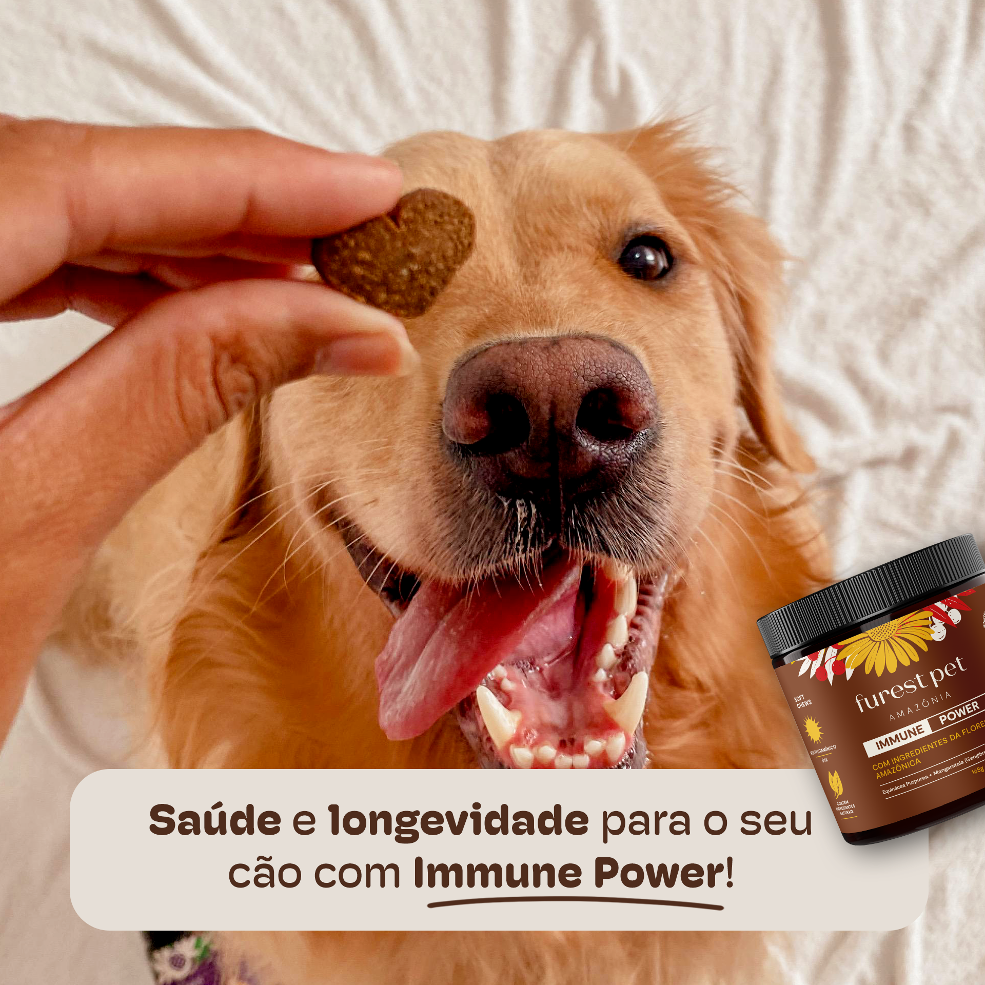 ads-potecomcachorro-immune-quadrado-v2.png