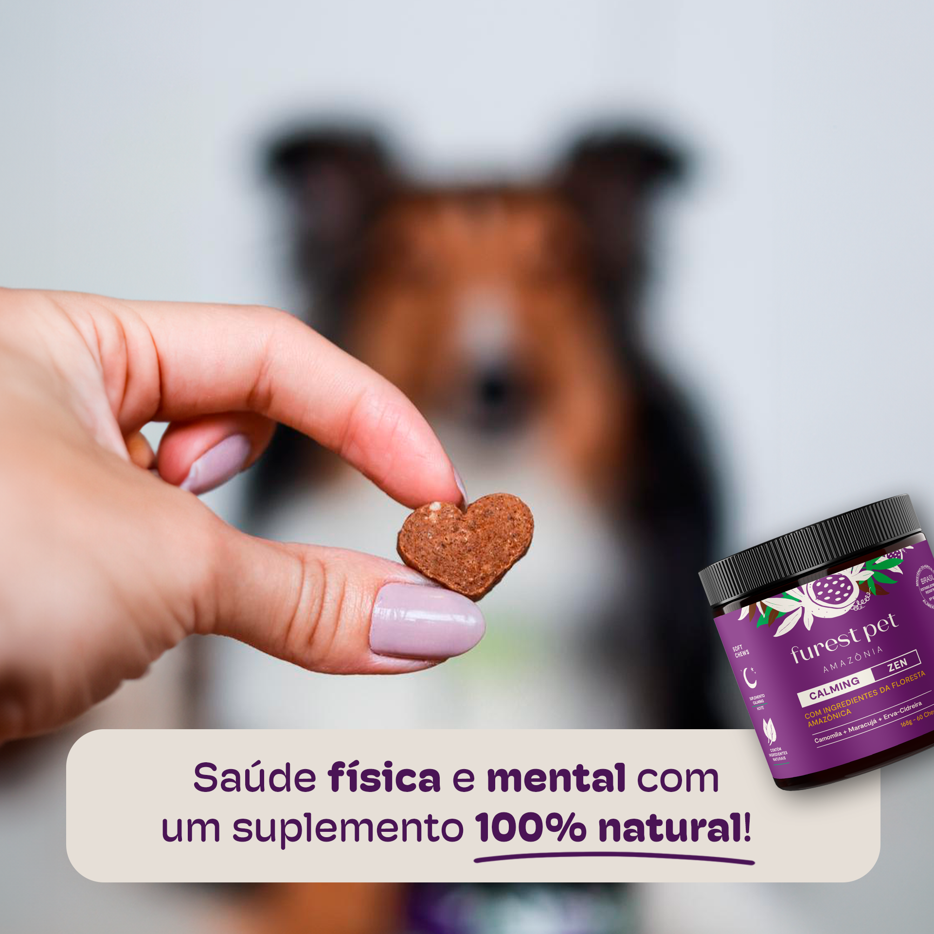 ads-potecomcachorro-calming-quadrado-v2.png