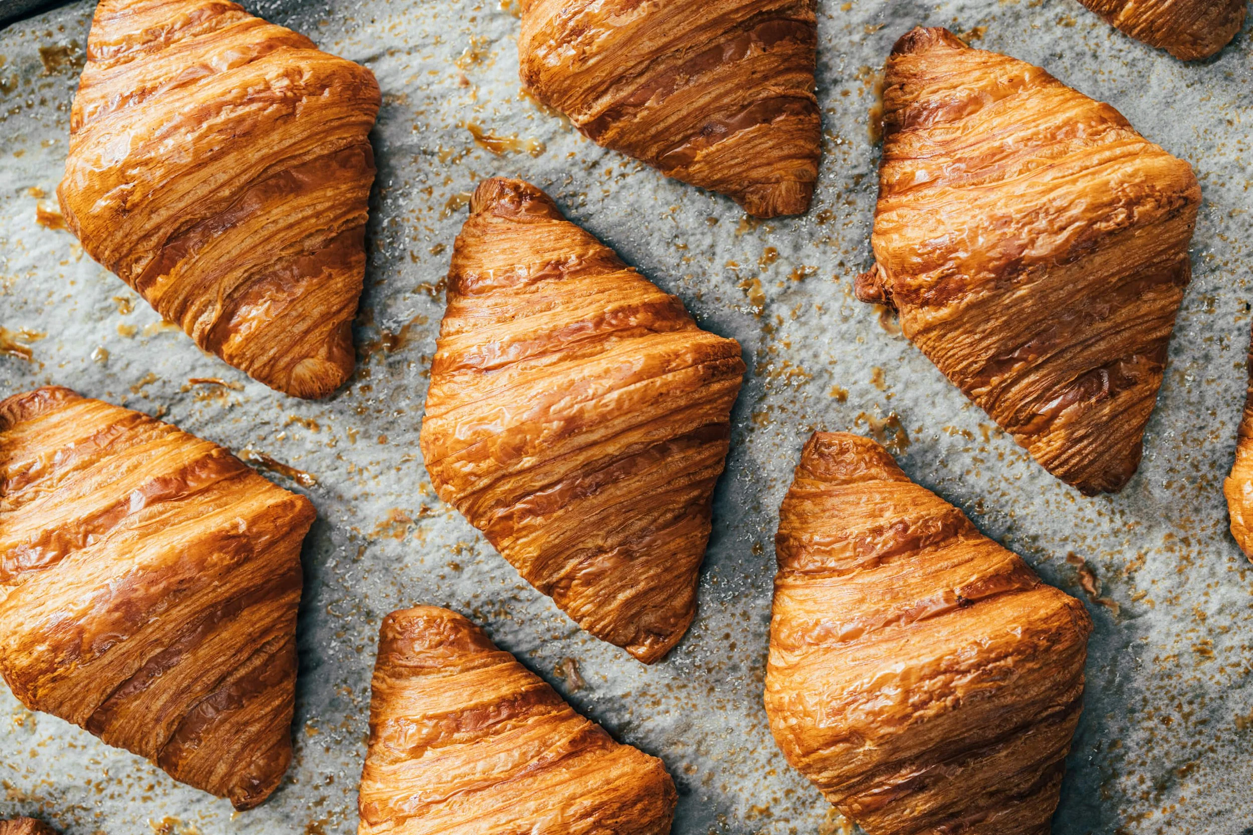 annamul PHOTO 32.jpg