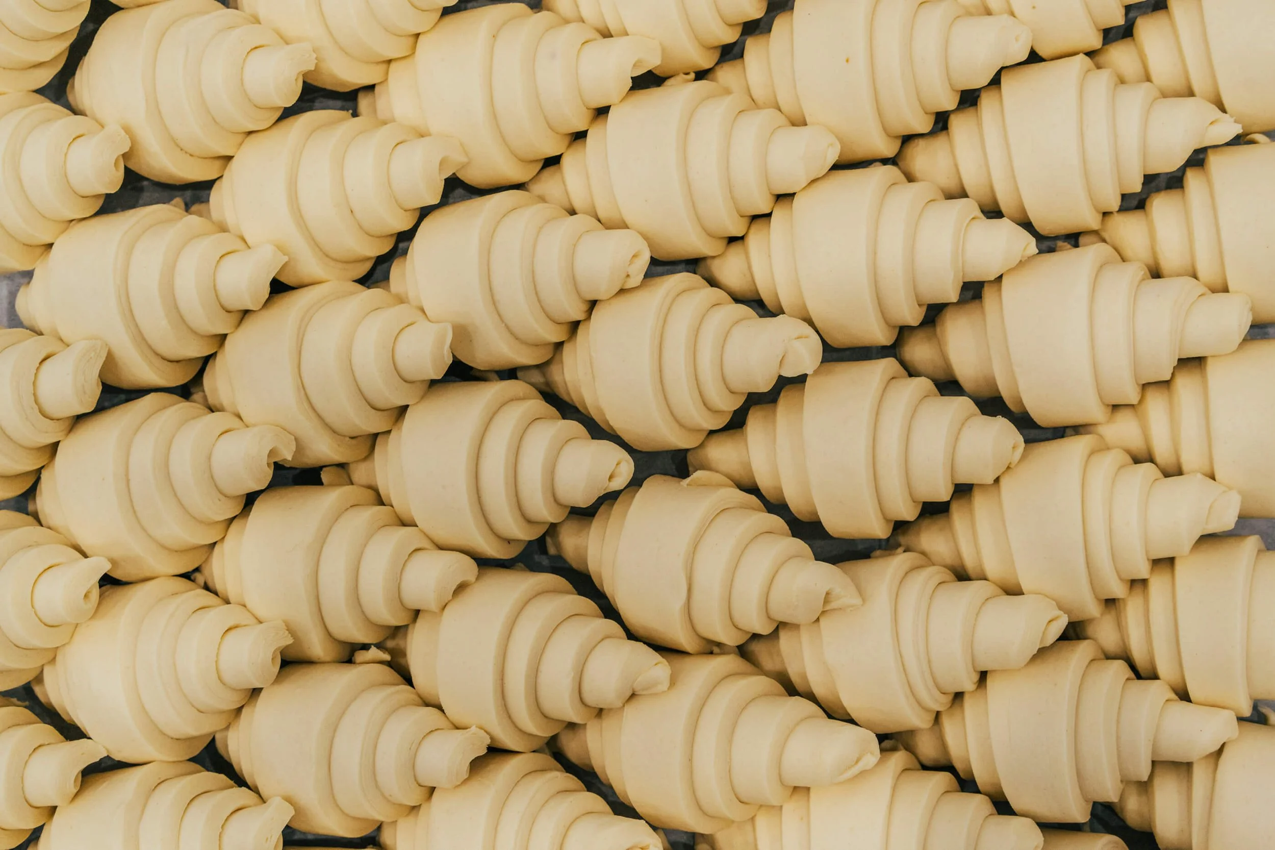 annamul PHOTO 29.jpg