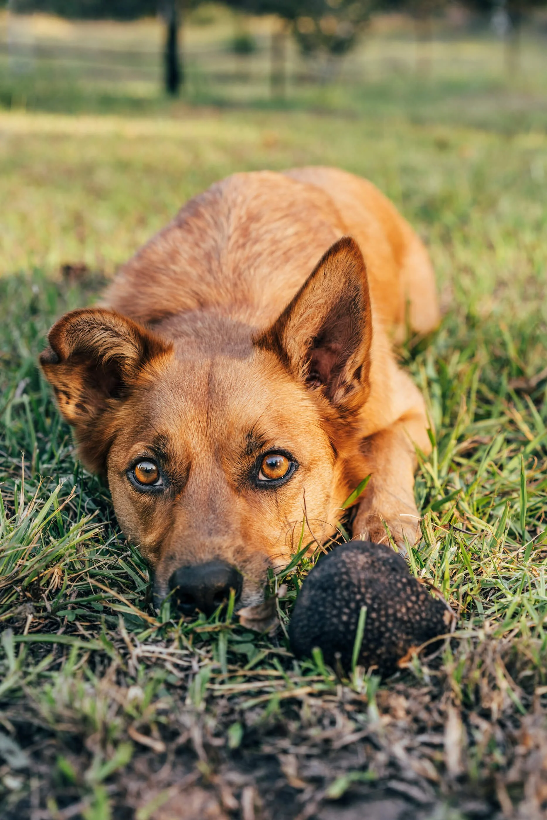 annamul PHOTO 51.jpg